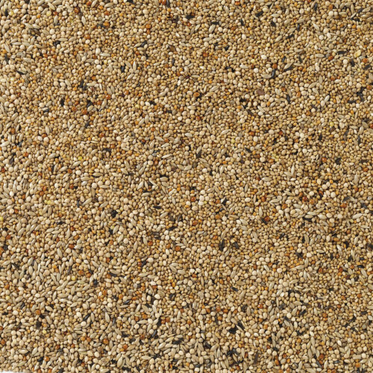 Hrană pentru păsări Deli Nature Premium 4 Kg