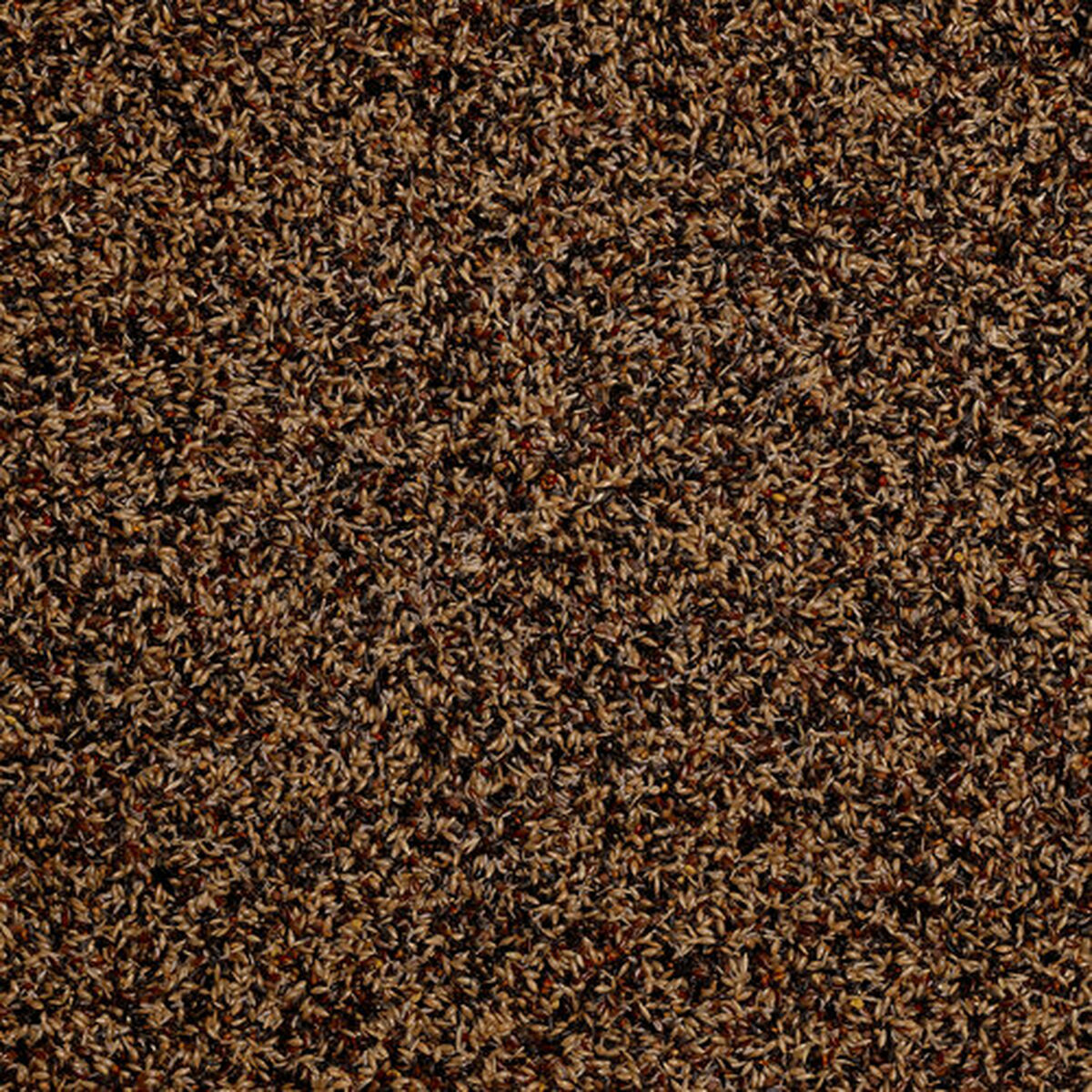 Hrană pentru păsări Deli Nature Premium 4 Kg