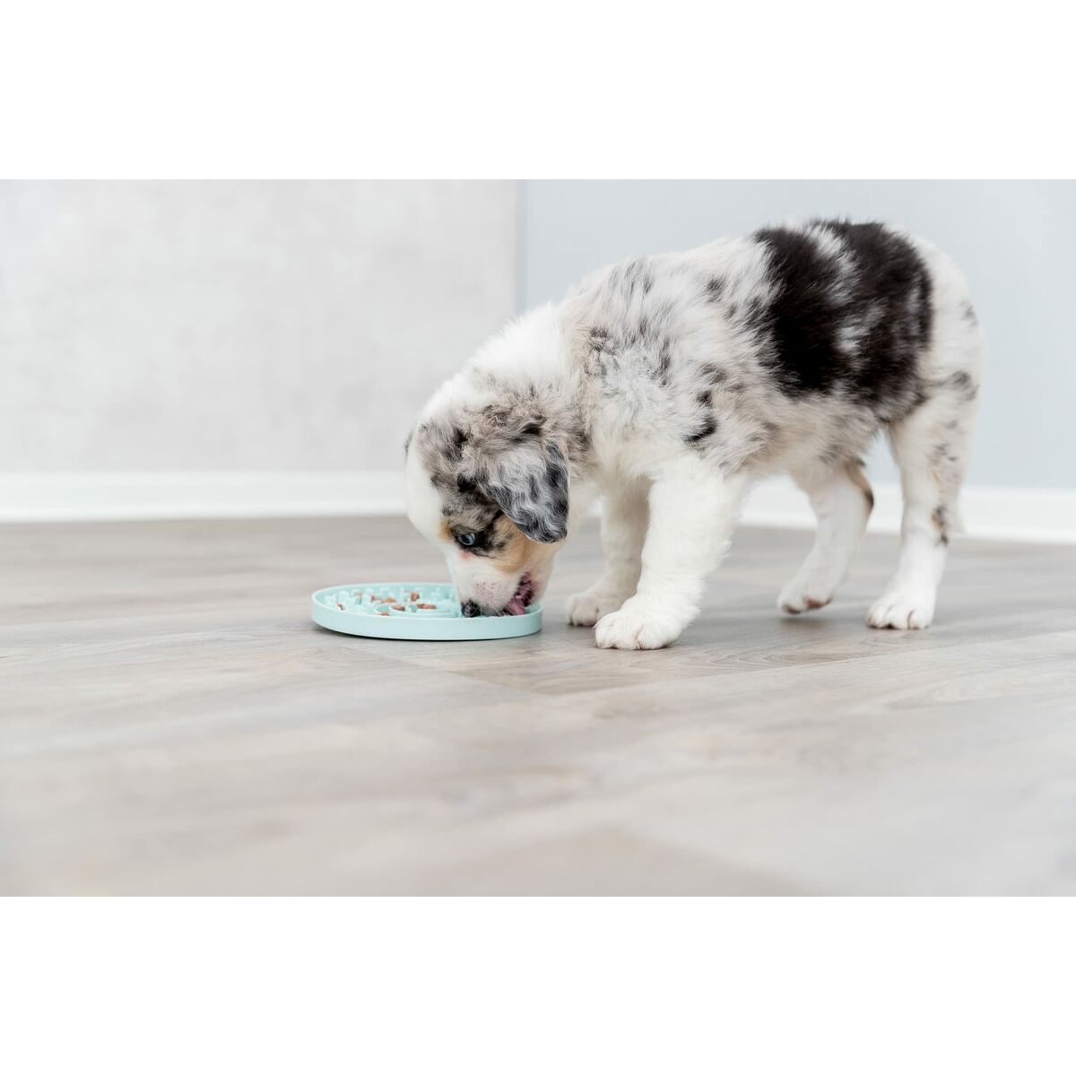 Castron de hrană pentru animale de companie Trixie Junior Licking Ø 15 cm Verde Mentă