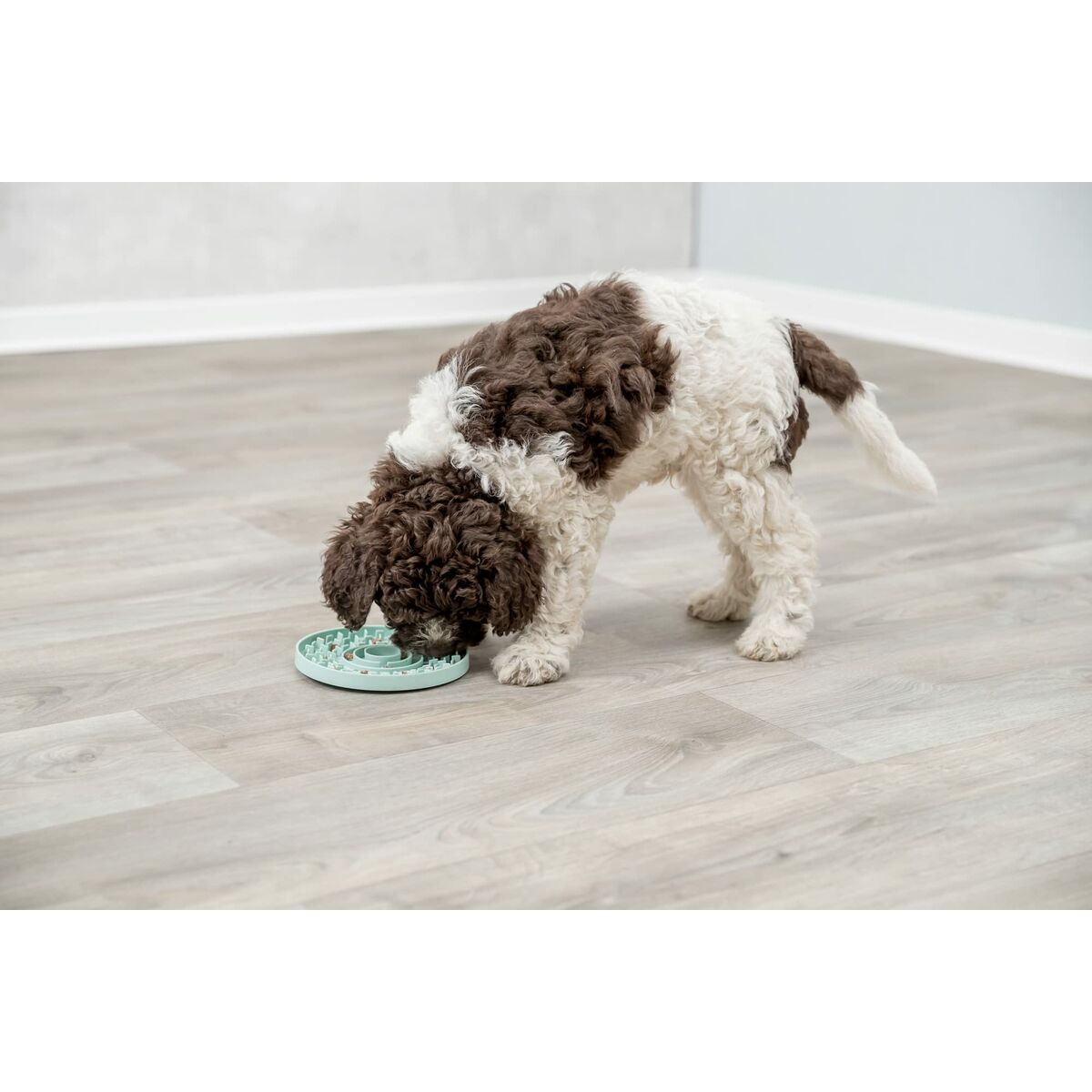 Castron de hrană pentru animale de companie Trixie Junior Licking Ø 15 cm Verde Mentă
