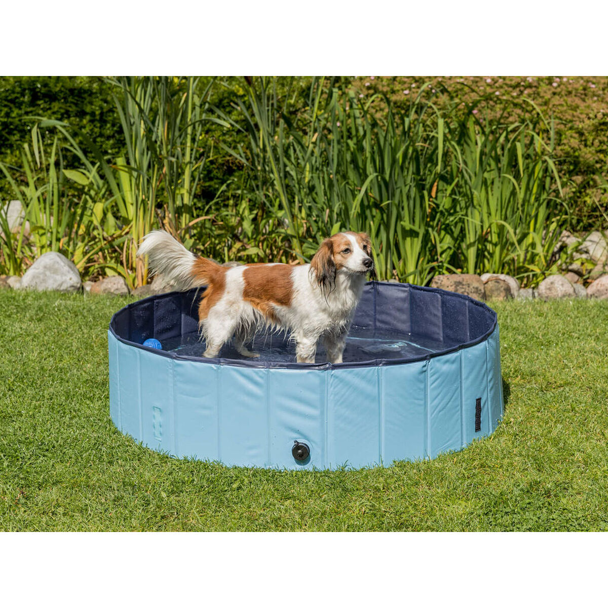 Piscină pentru Câini Trixie Albastru deschis Ø 70 × 12 CM