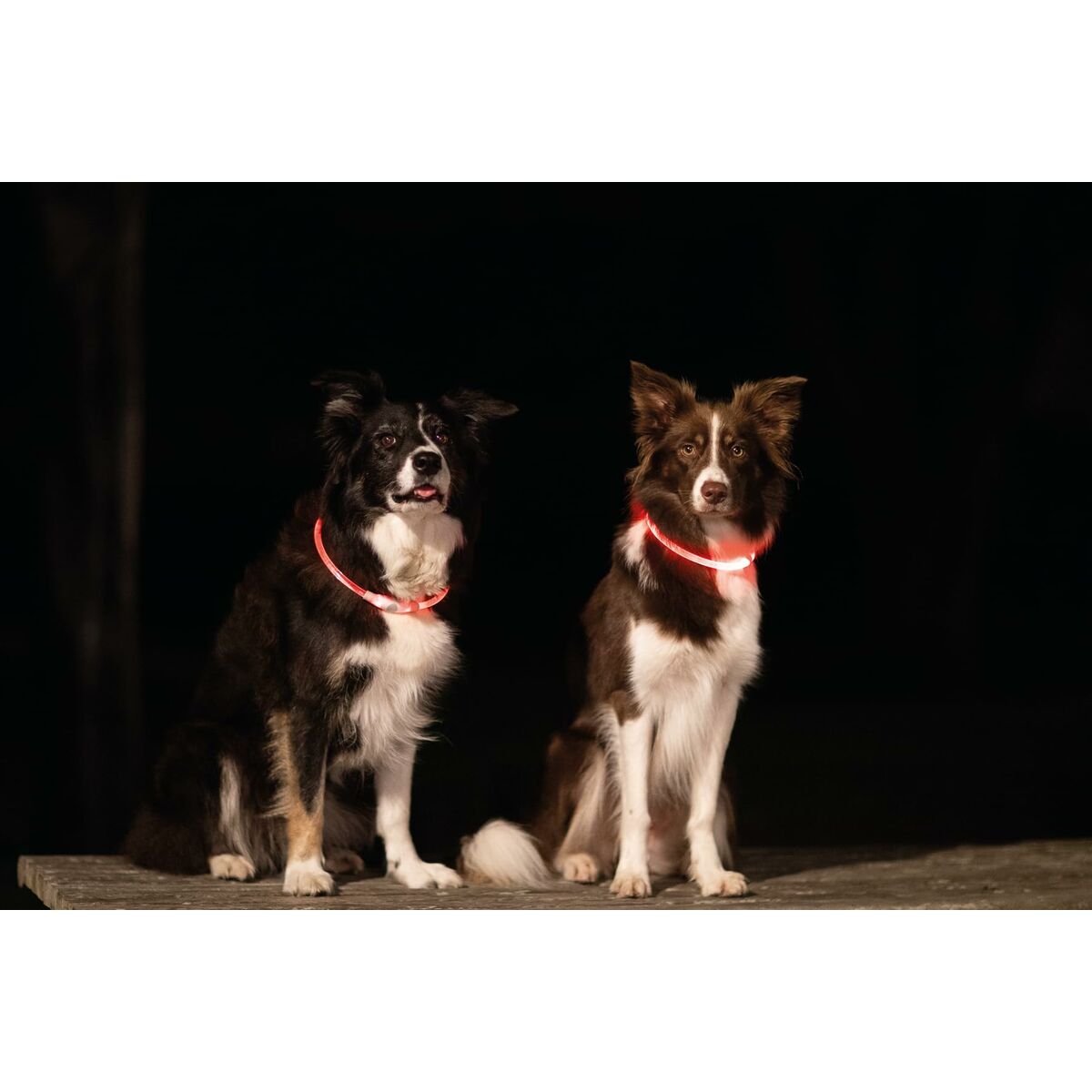 Guler LED pentru animale de companie Trixie Roz L/XL