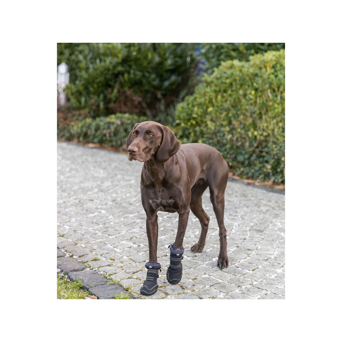 Mers de protecție pentru picioare Trixie Negru M