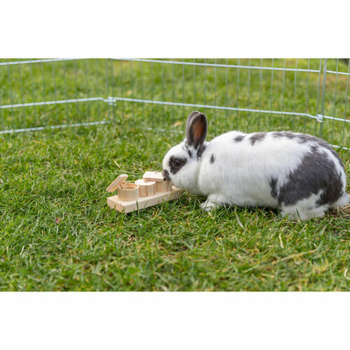 Distribuitor de mâncare 2 în 1 jucărie pentru animale de companie Trixie Lemn 15 × 4,5 × 6 CM