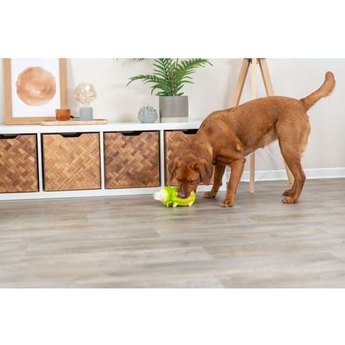 Jucărie pentru câini Trixie Porc