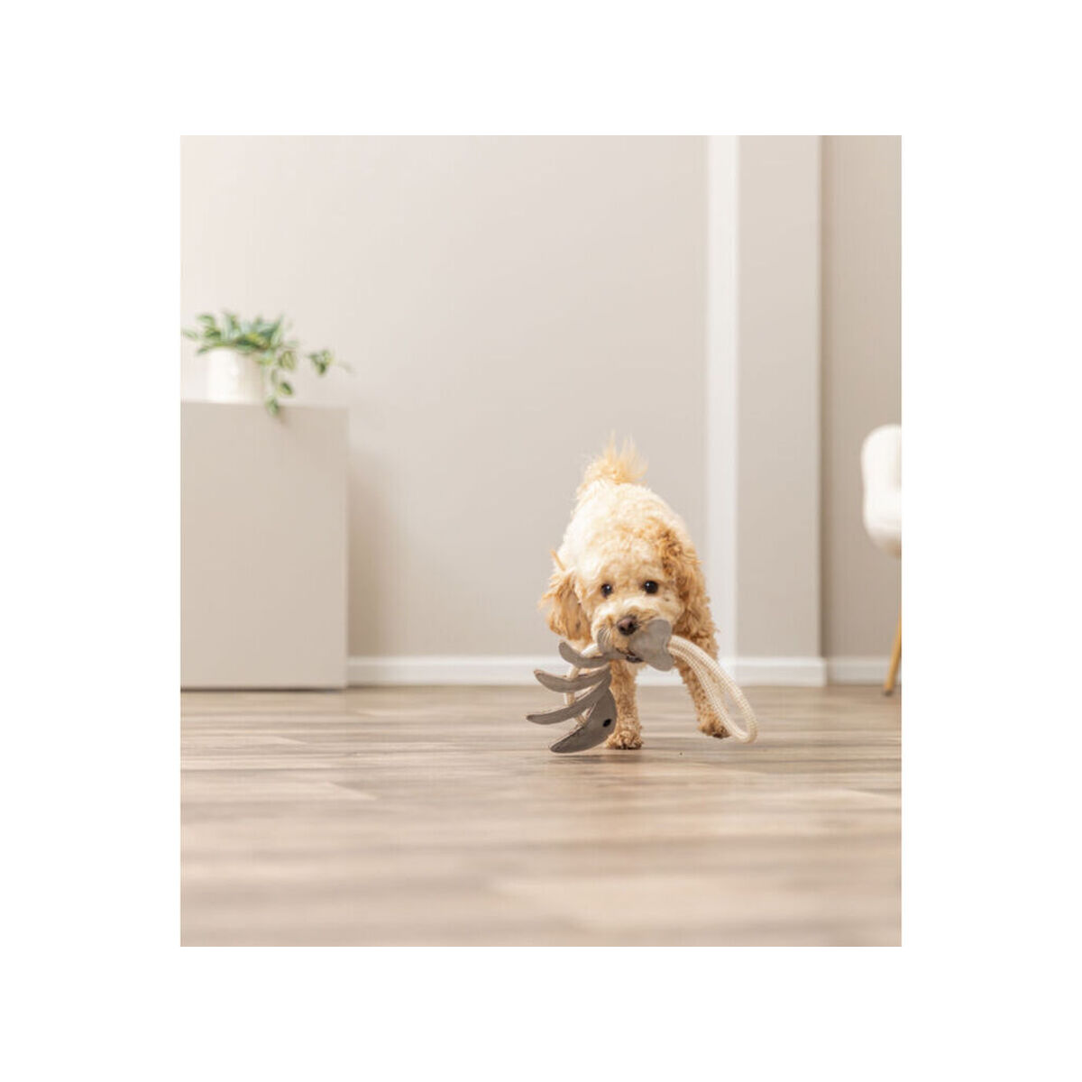 Jucărie din pluș pentru câini Trixie