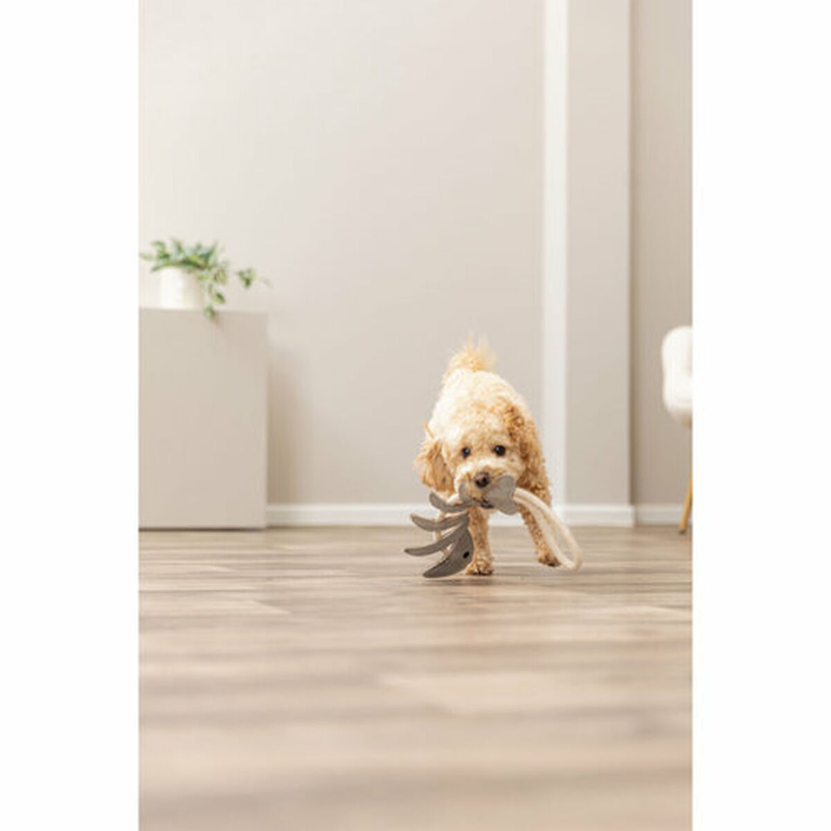 Jucărie din pluș pentru câini Trixie