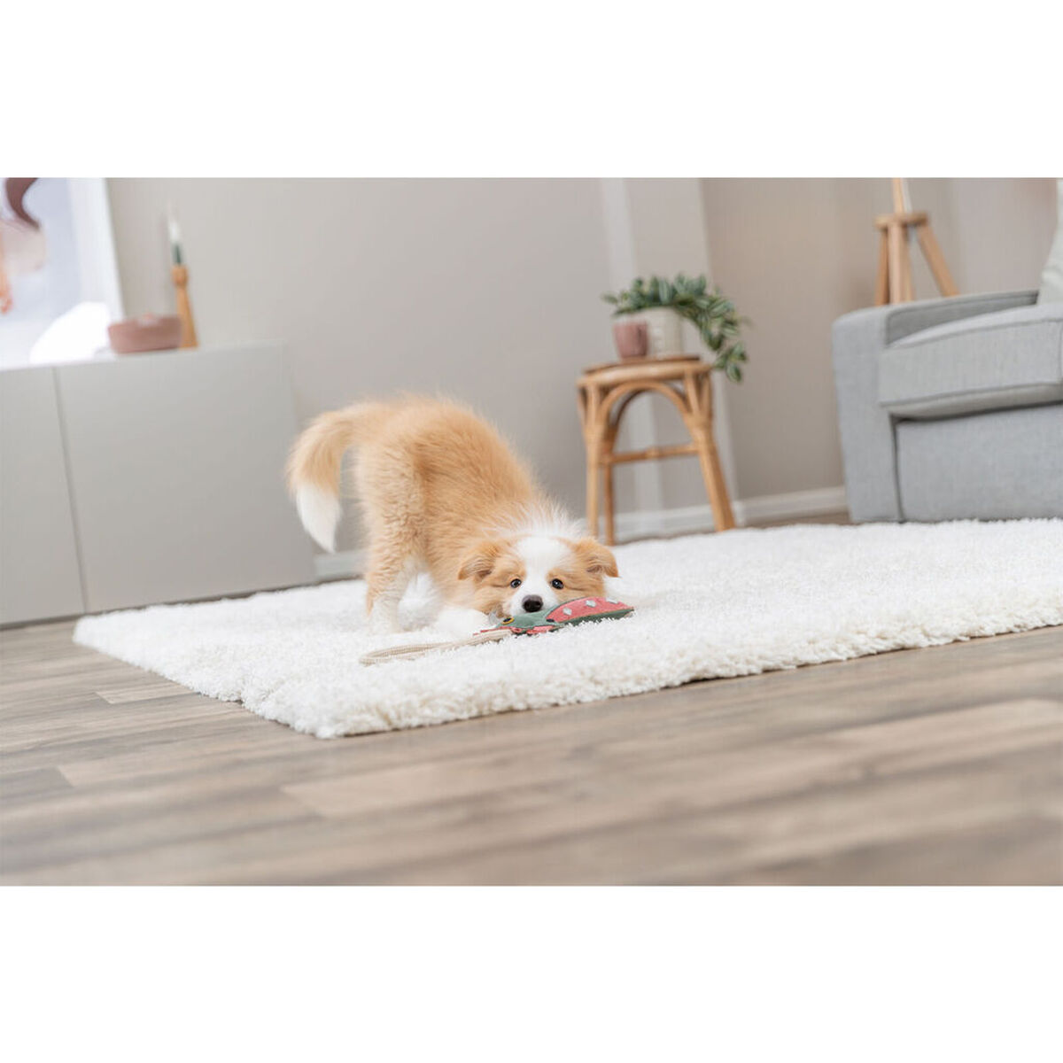 Jucărie din pluș pentru câini Trixie