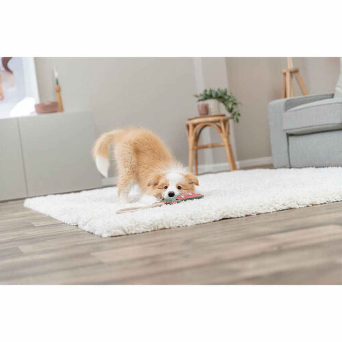 Jucărie din pluș pentru câini Trixie