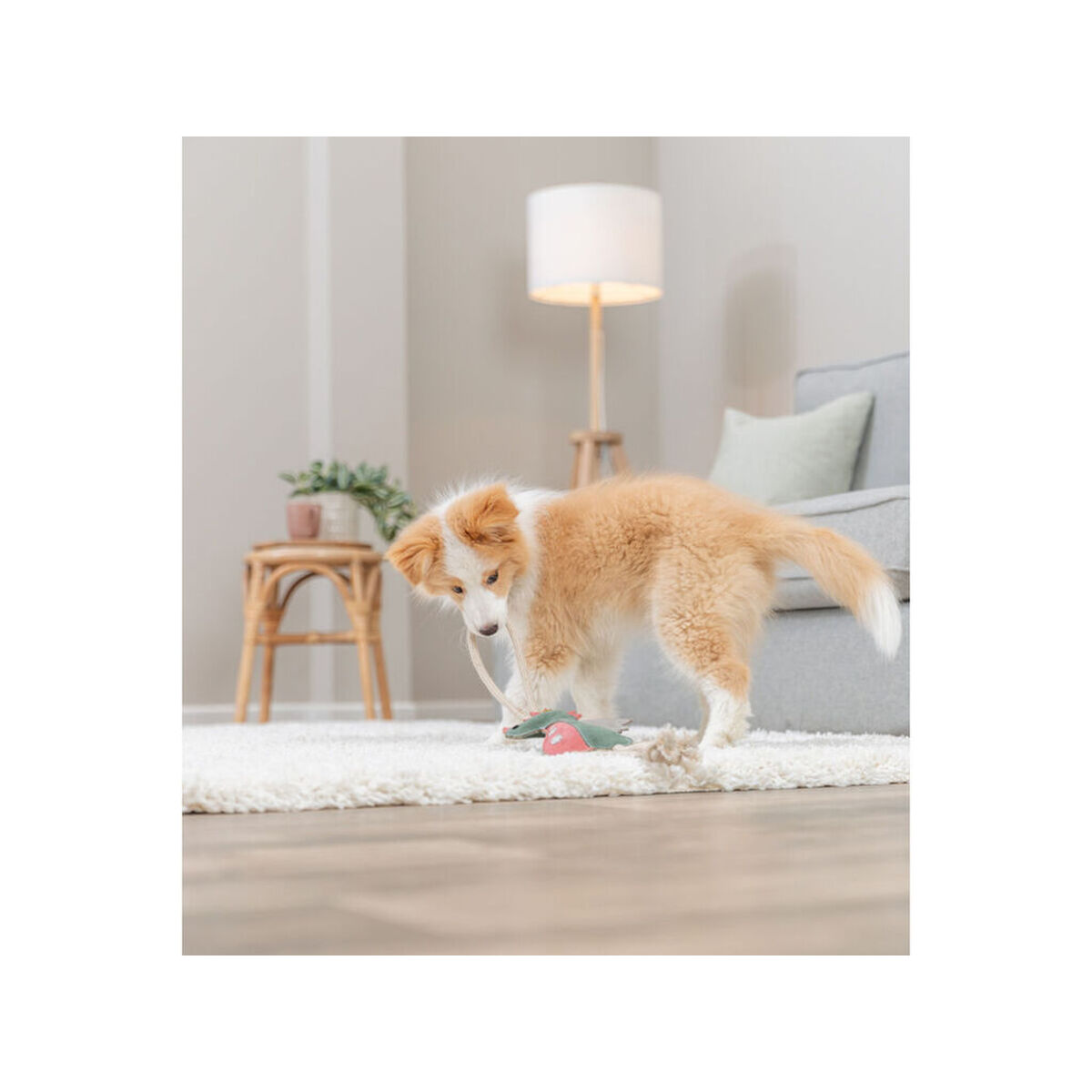 Jucărie din pluș pentru câini Trixie