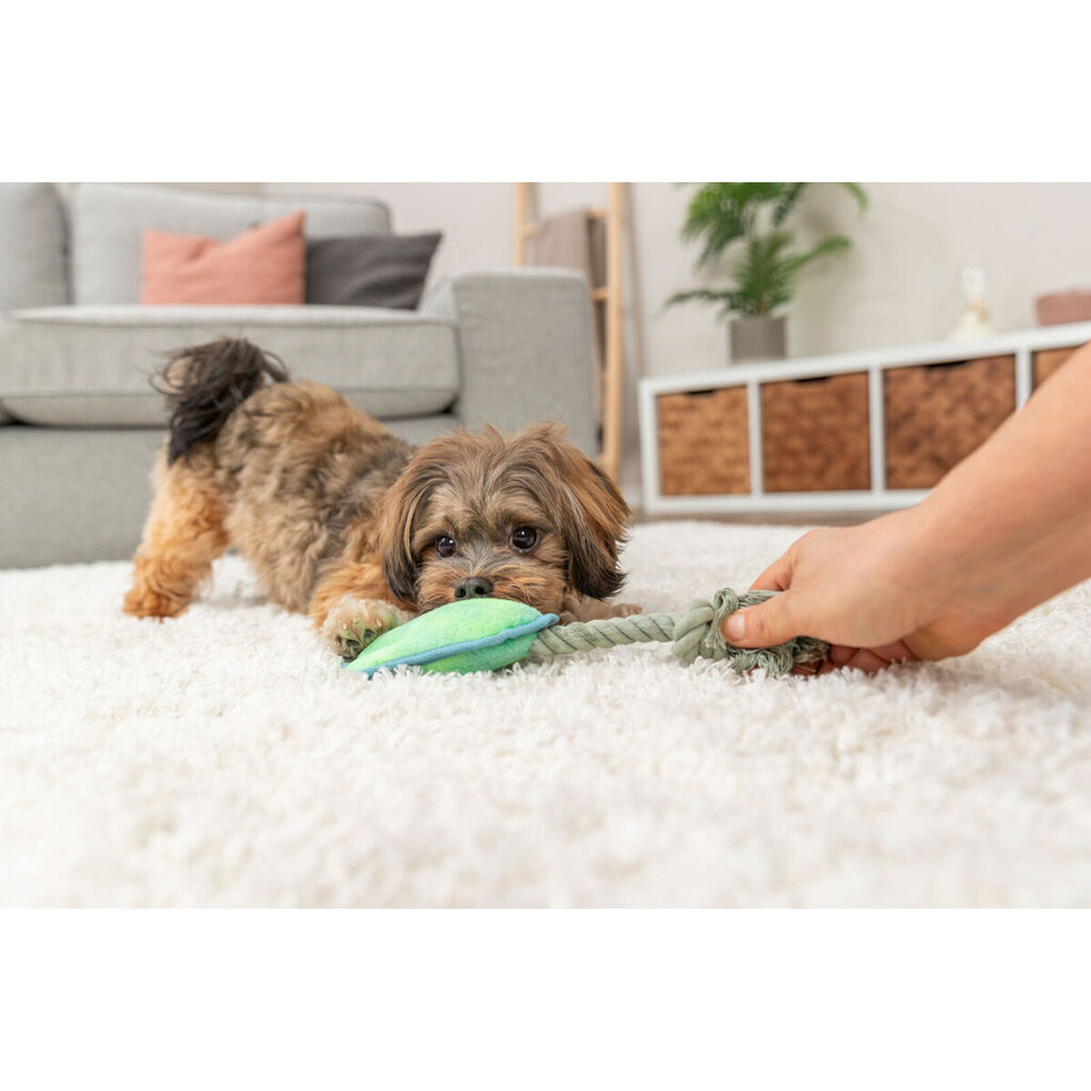 Jucărie din pluș pentru câini Trixie Albastru Verde Poliester 22 cm