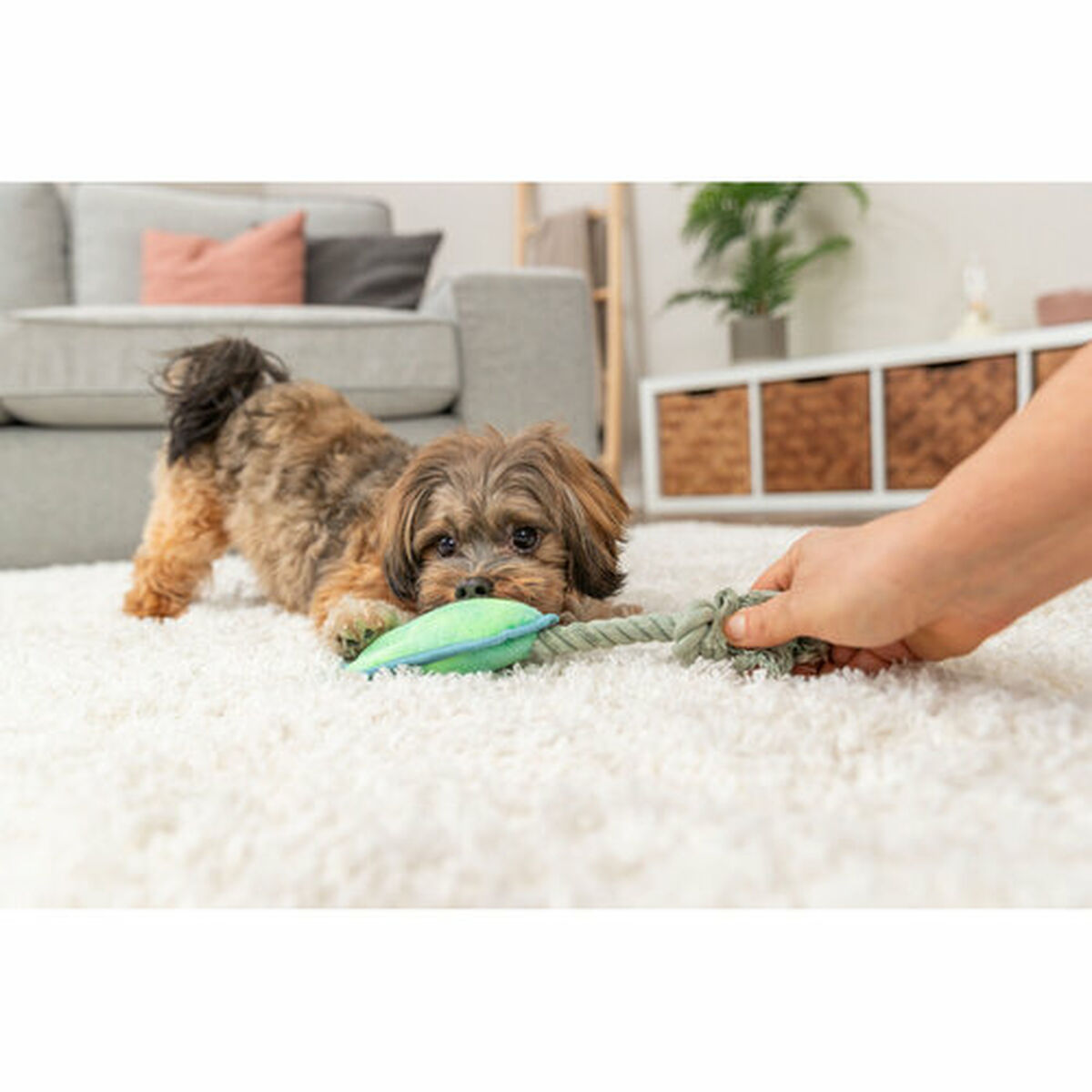 Jucărie din pluș pentru câini Trixie Albastru Verde Poliester 22 cm