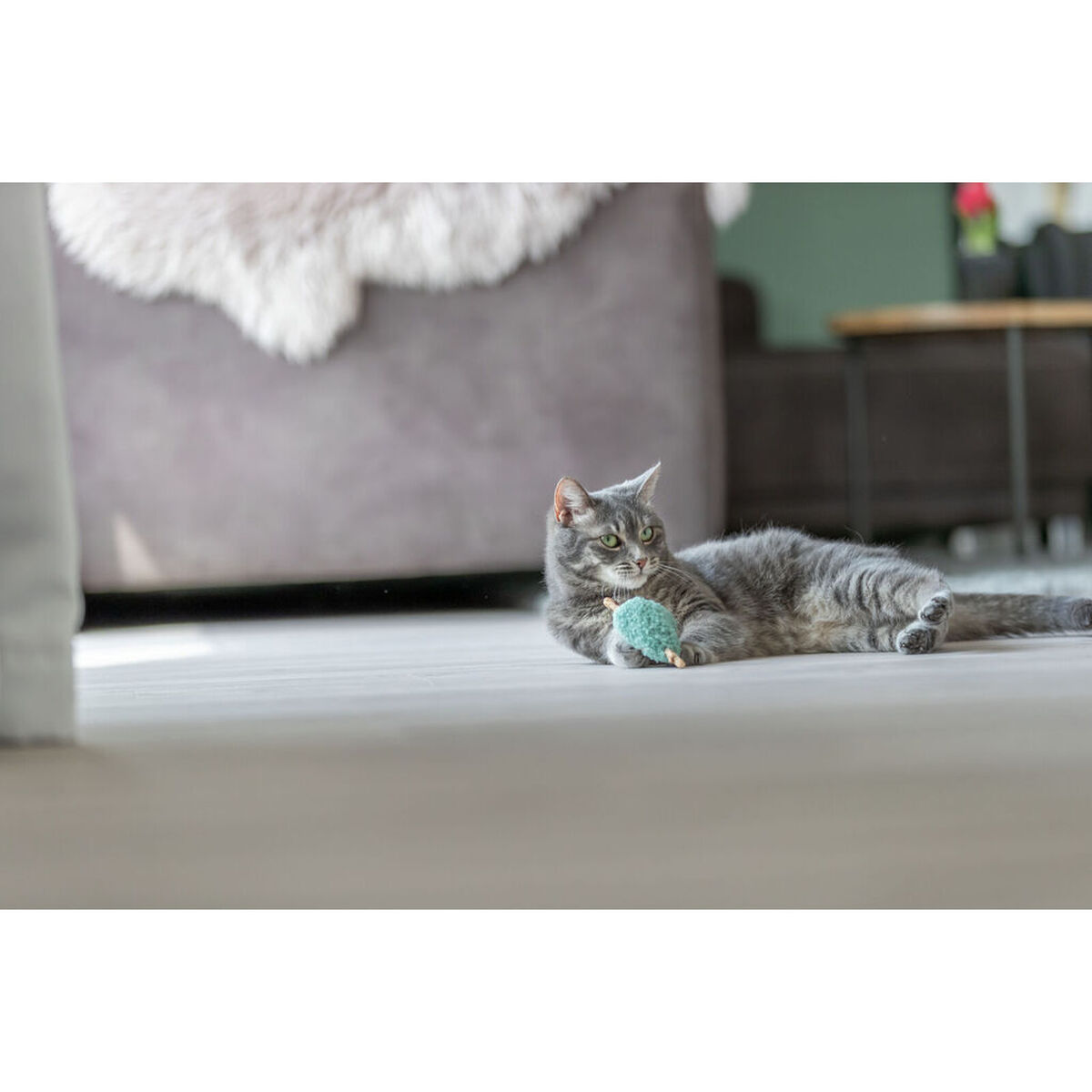 Jucărie pentru pisici Trixie Inimă