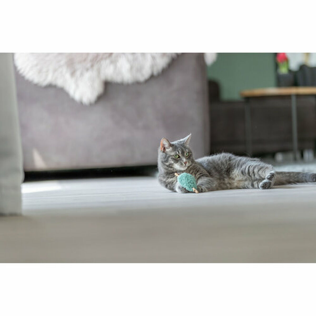 Jucărie pentru pisici Trixie Inimă