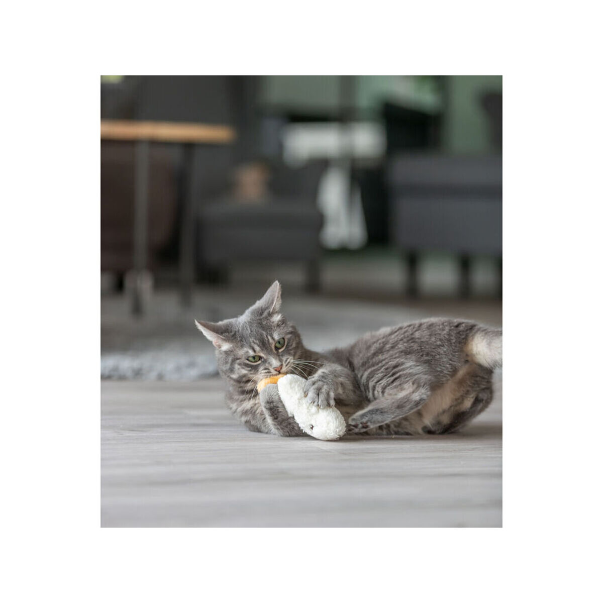 Jucărie pentru pisici Trixie Față