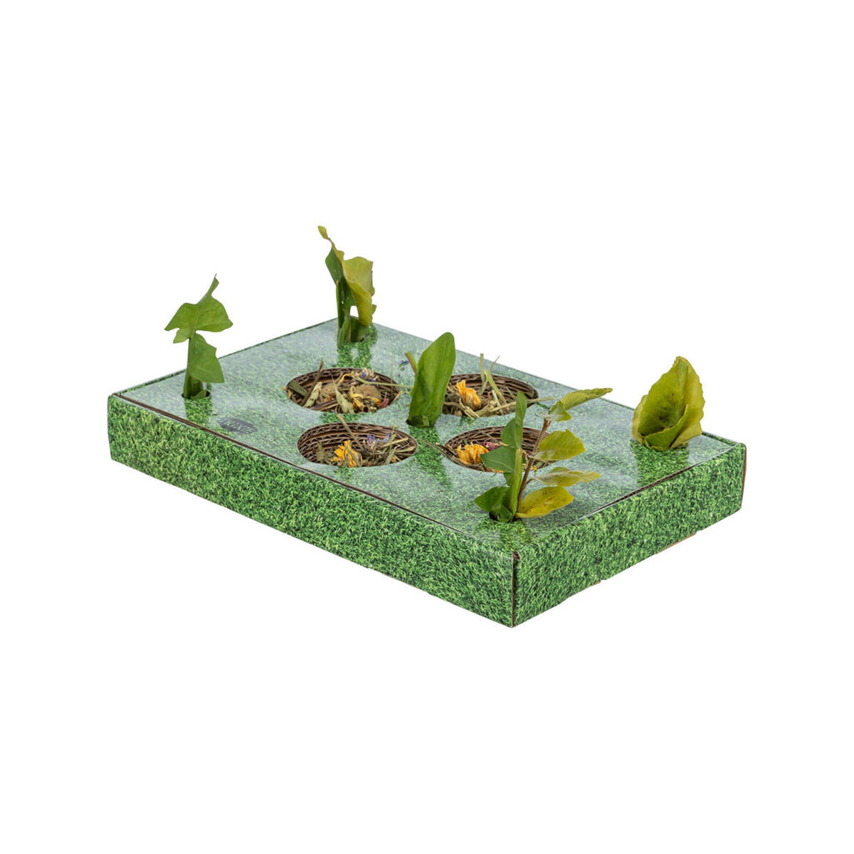 Tavă pentru gustari Trixie Verde Carton 28 x 3,8 x 18 cm