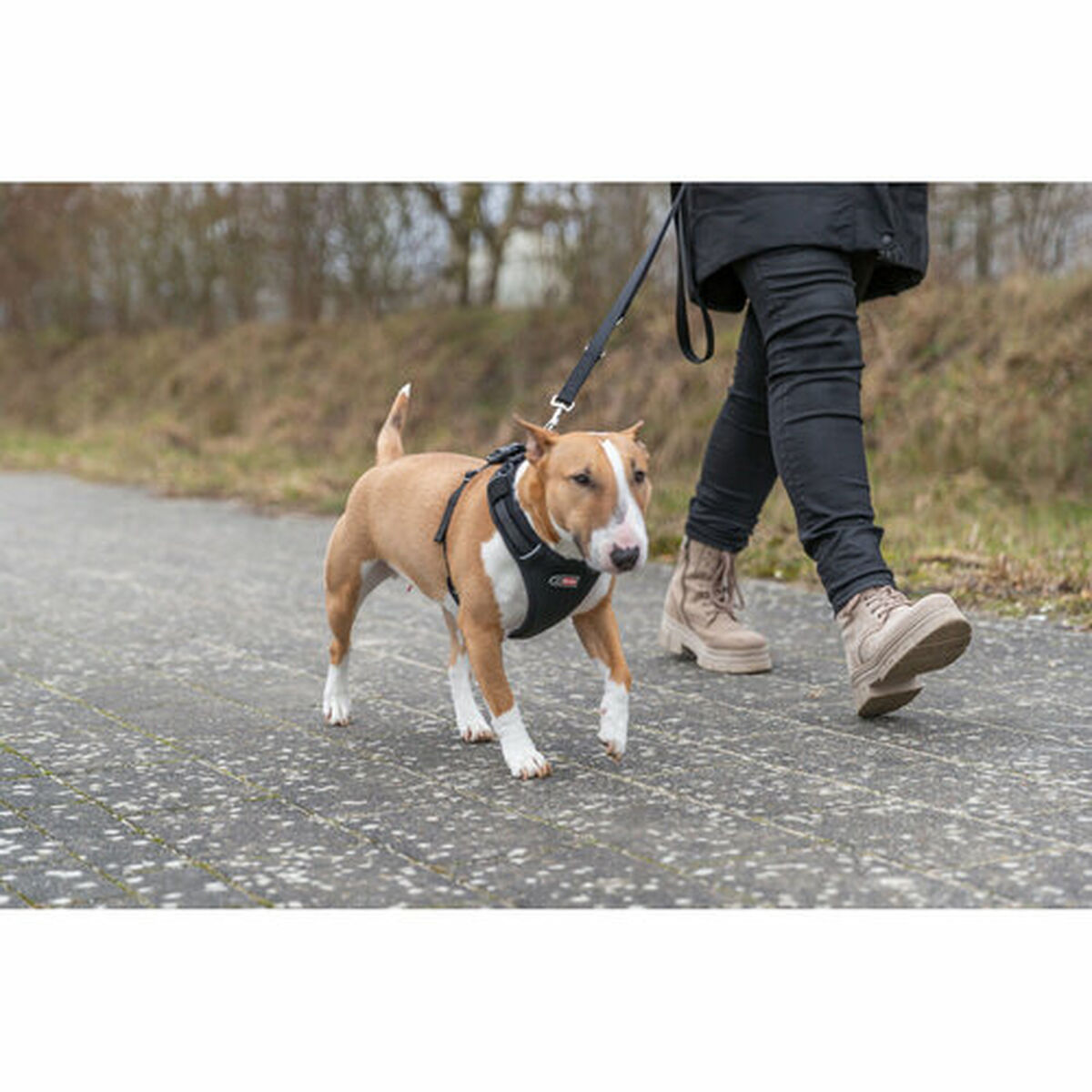 Ham pentru câini Trixie Premium FlexMesh Negru L