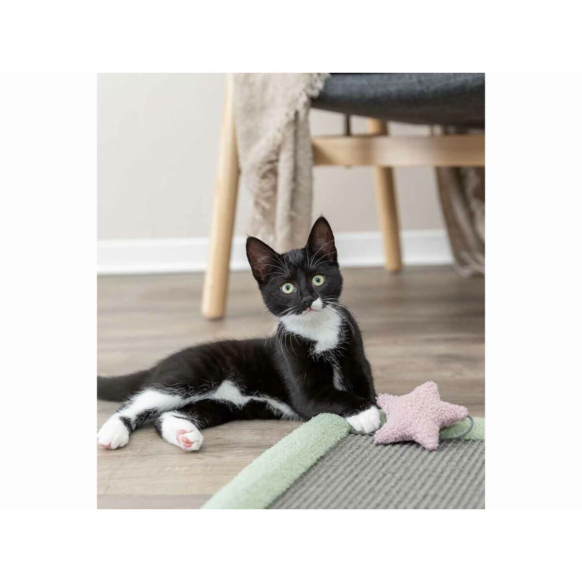 Suport de Ascuțit Gheare pentru Pisici Trixie Junior Gri Mentă Poliester Sisal 47 x 47 cm