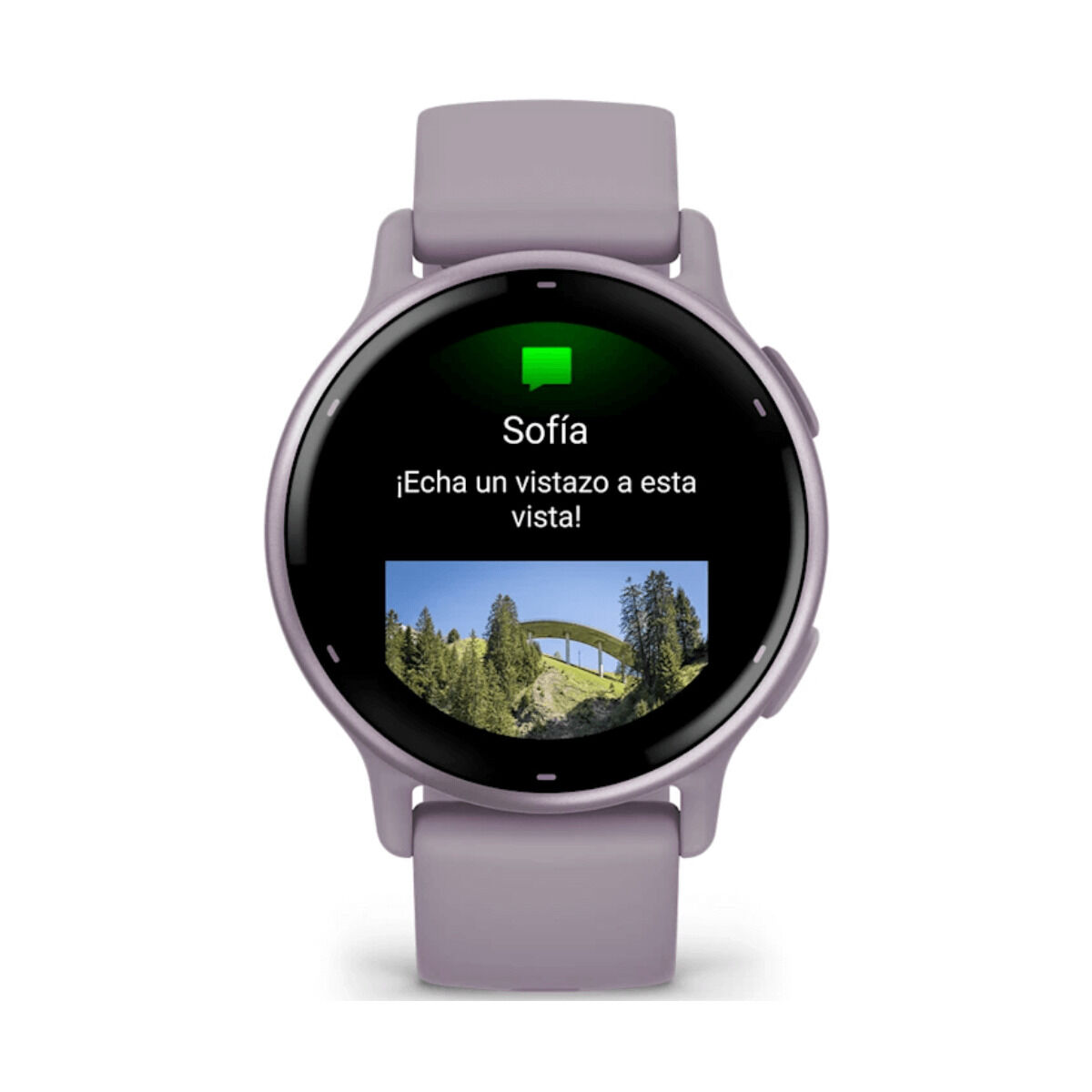 Ceas Bărbați GARMIN 010-02862-13 Violet 1,2"