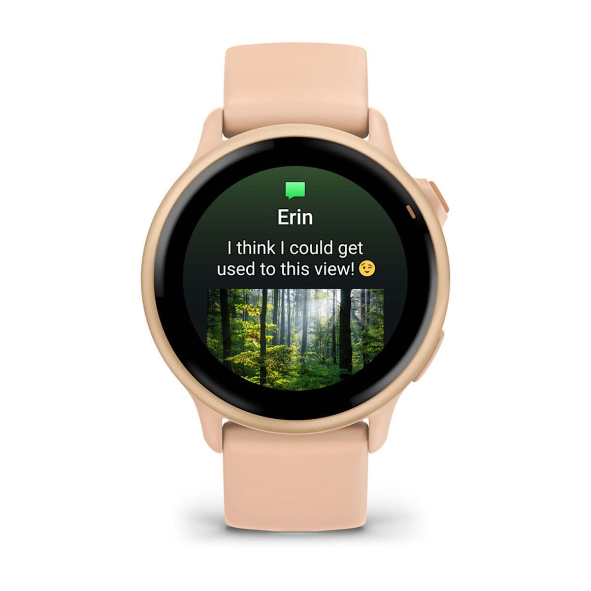 Smartwatch GARMIN 010-02985-03 Roz 1,2"