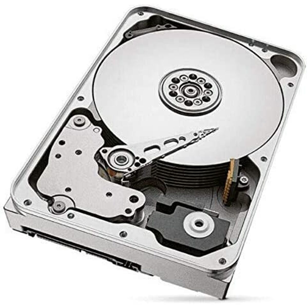 Hard Disk Seagate ST12000VN0008 3,5" 12 TB