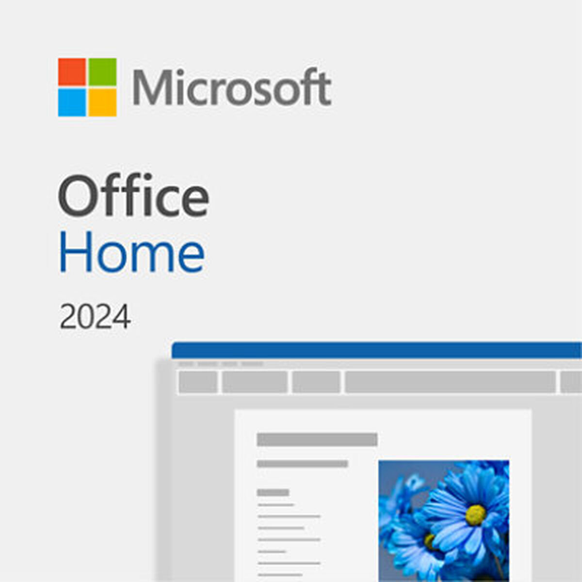 Software de Management Microsoft EP2-06873