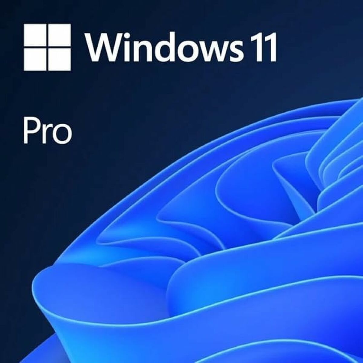Software de Management Microsoft EP2-06873