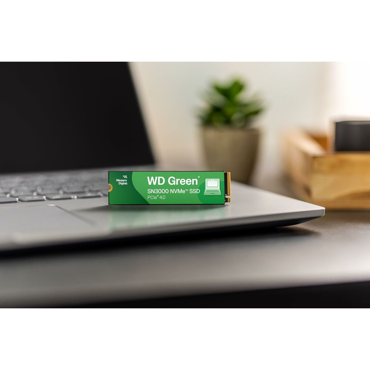 Hard Disk Western Digital WDS200T4G0E 2 TB SSD