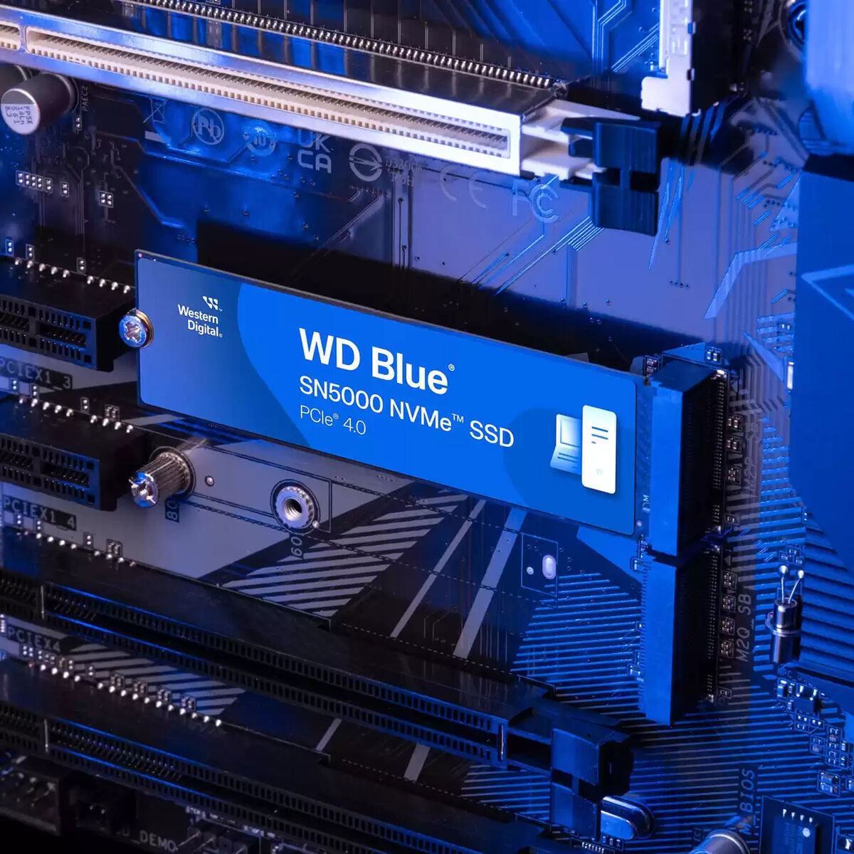 Hard Disk Western Digital WDS500G4B0E 500 GB SSD