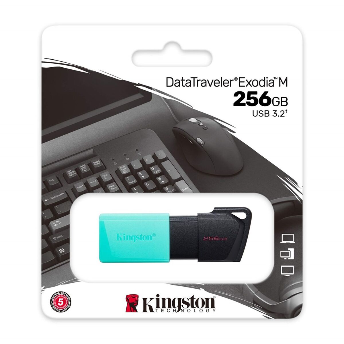 Memorie USB Kingston Exodia M Negru 256 GB
