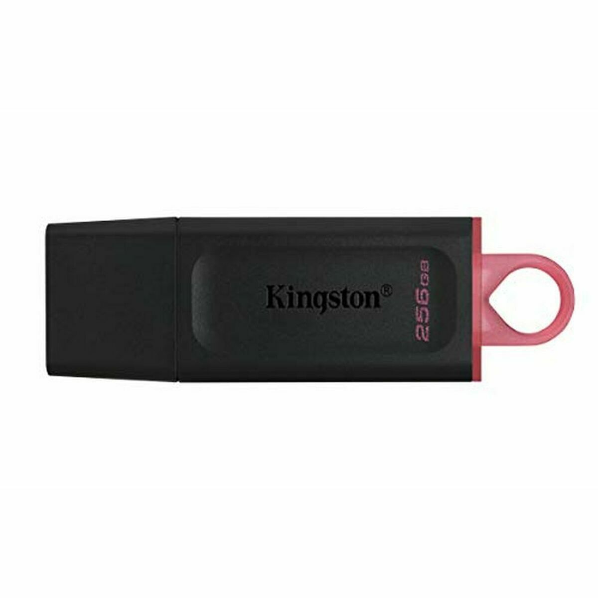 Memorie USB Kingston Exodia Roz 256 GB