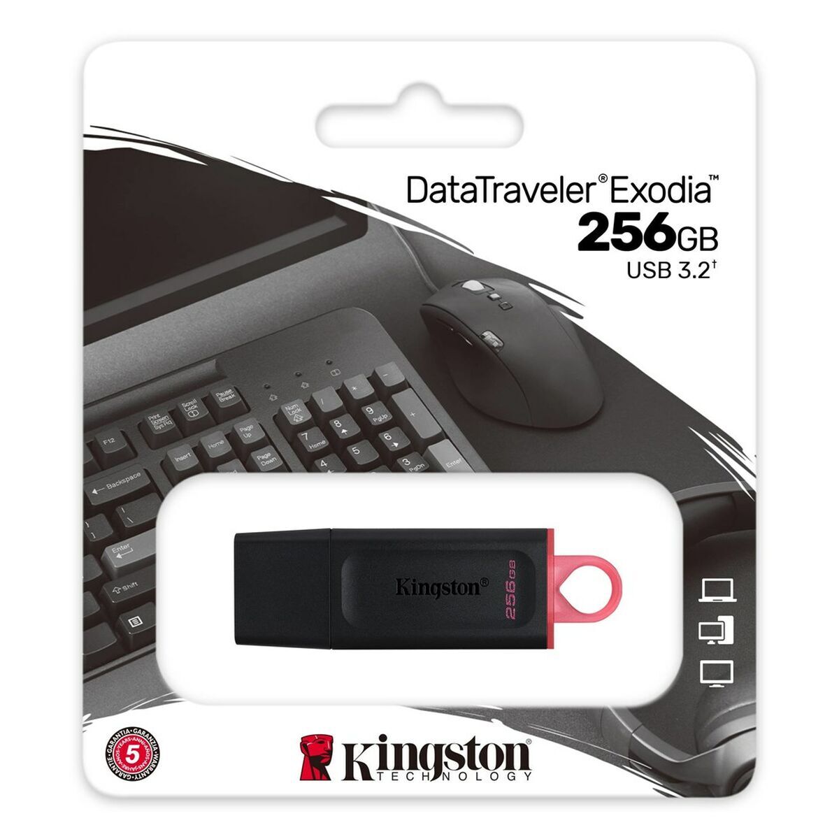 Memorie USB Kingston Exodia Roz 256 GB