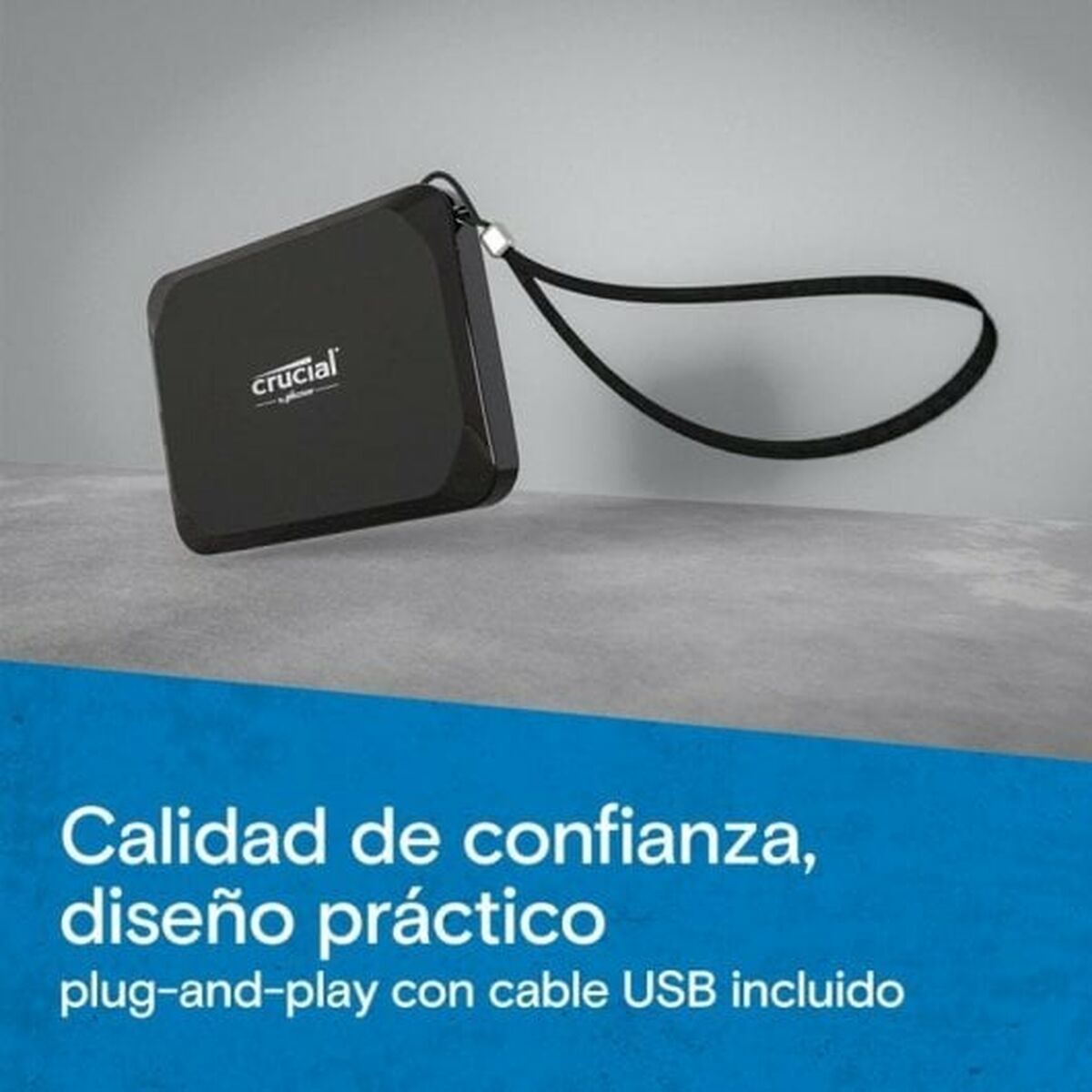 Hard Disk Crucial CT2000X9SSD9