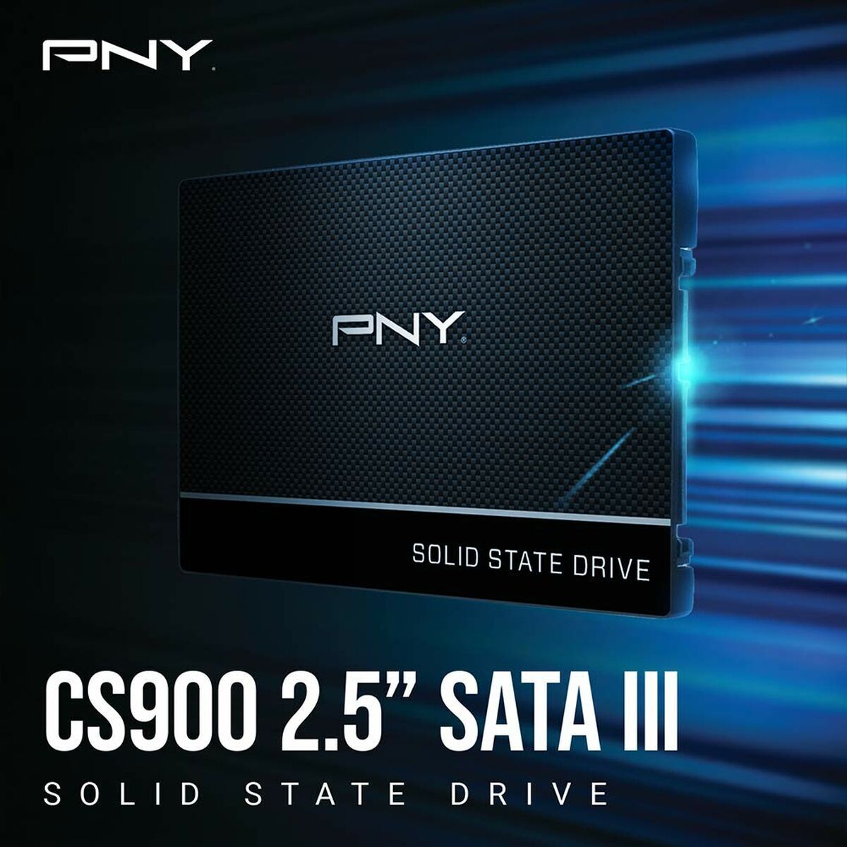 Hard Disk PNY CS900 1 TB SSD