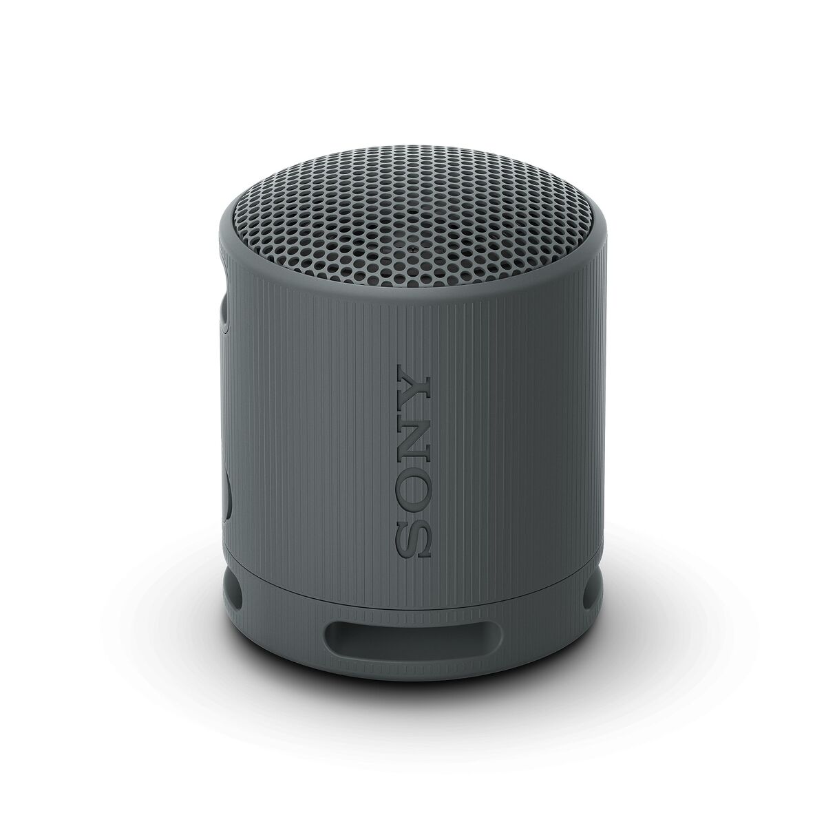 Difuzor Bluetooth Sony SRSXB100B Negru
