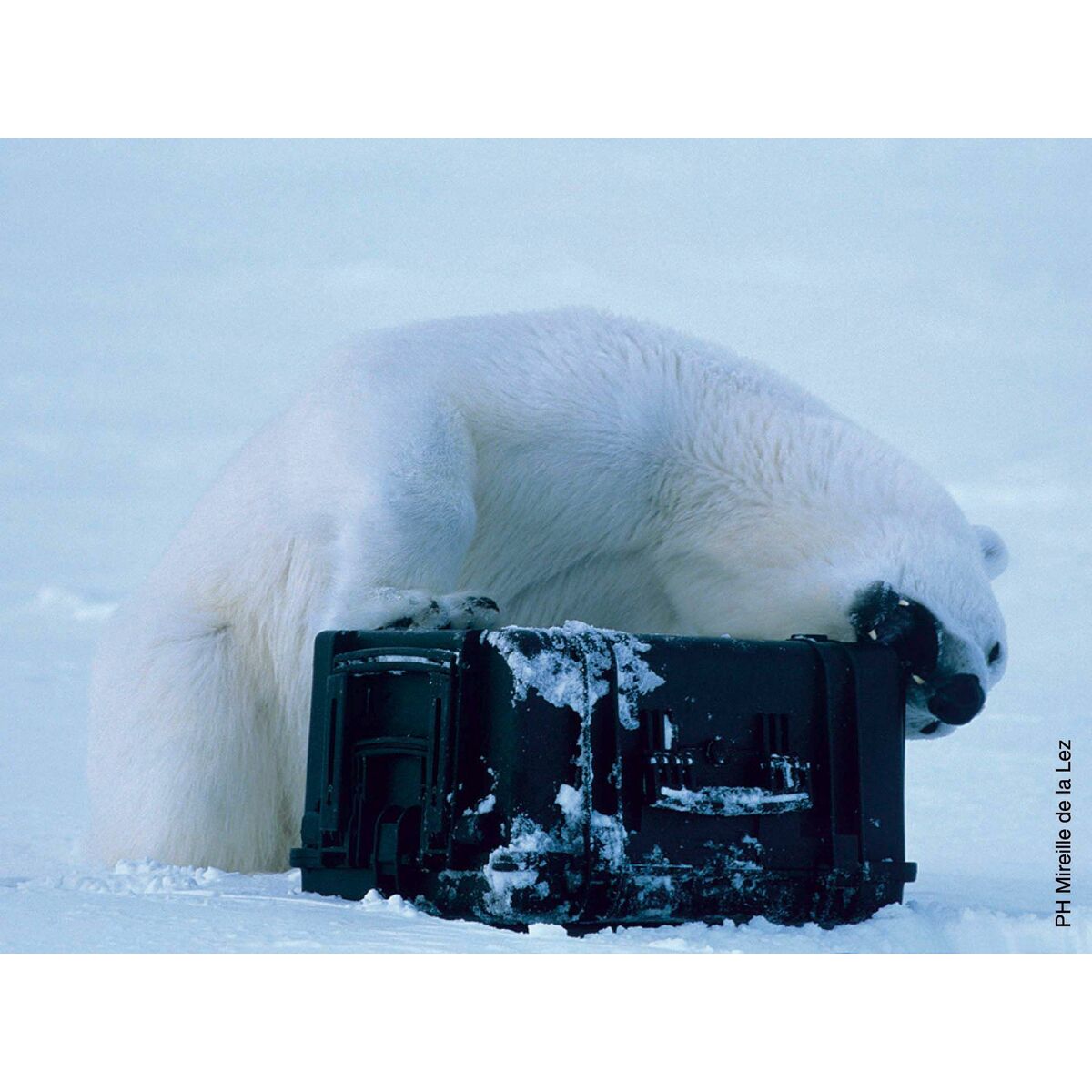 Cutie Tip Diplomat Pentru Scule GT Line EXPLORER 2712 30,5 x 27 x 14,4 cm Metal polipropilenă 27 L