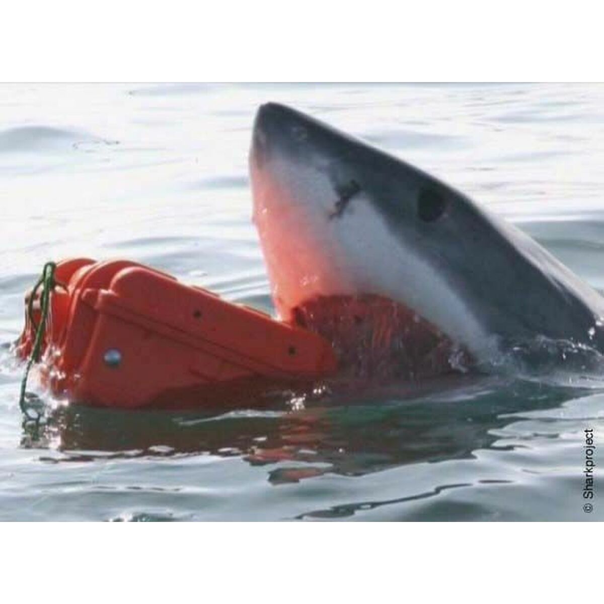 Cutie Tip Diplomat Pentru Scule GT Line EXPLORER 2712 30,5 x 27 x 14,4 cm Metal polipropilenă 27 L