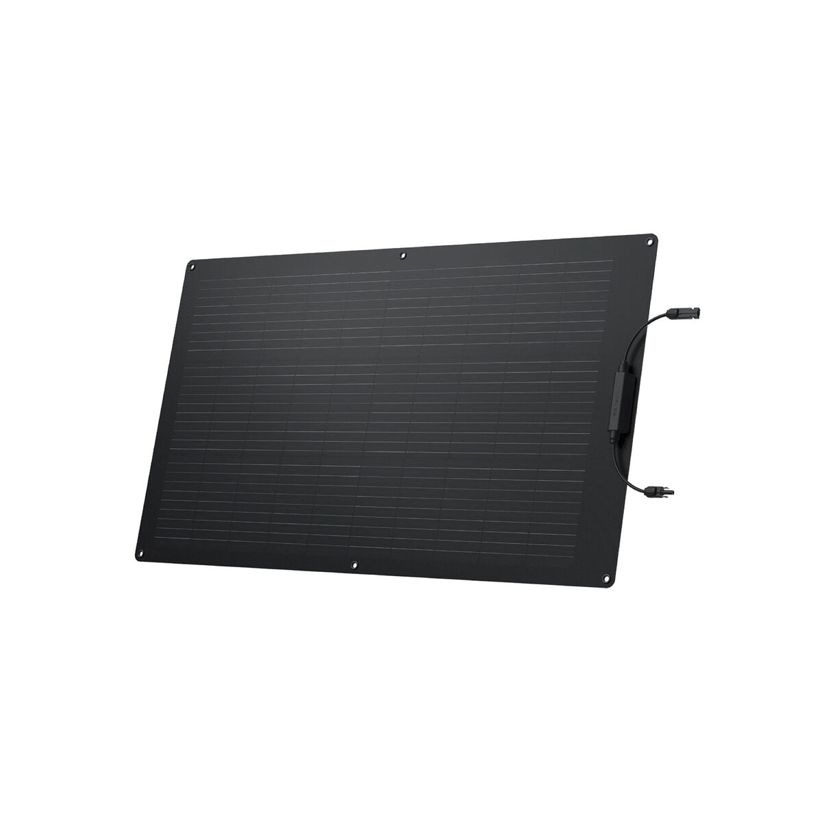 Panou solar fotovoltaic Ecoflow ZMS330 100 W