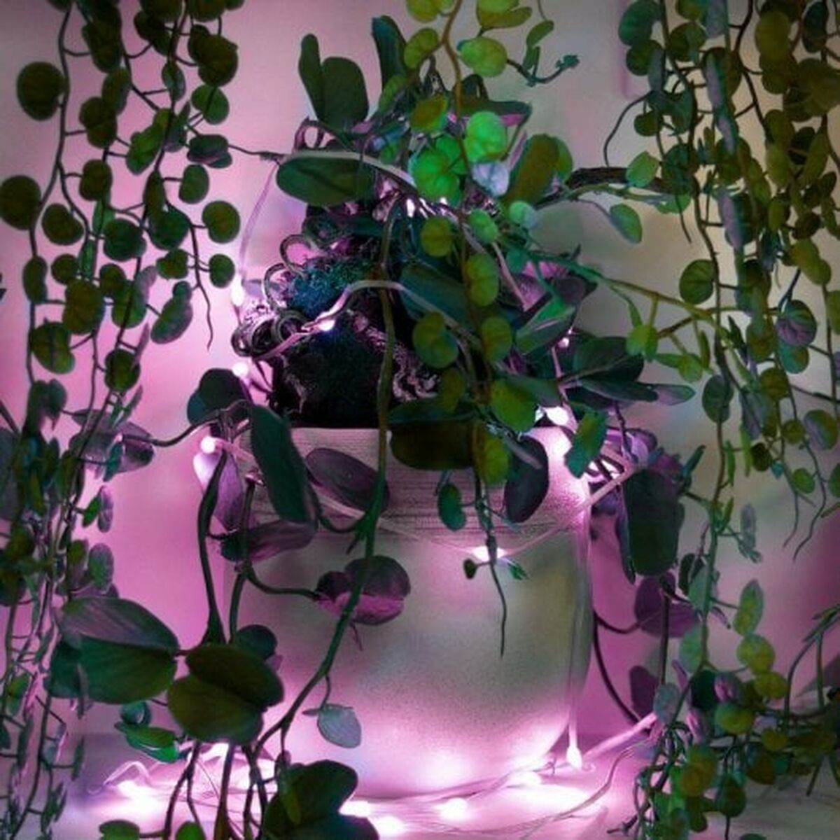 Ghirlandă de lumini LED Muvit iO 5 m