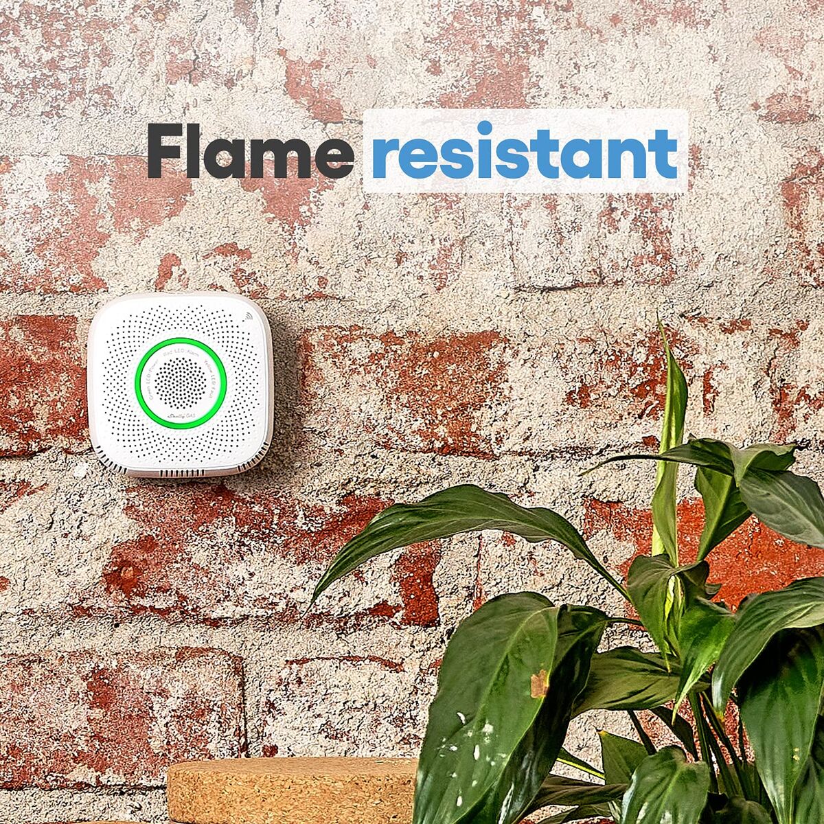 Cameră Video de Supraveghere Shelly GAS CNG