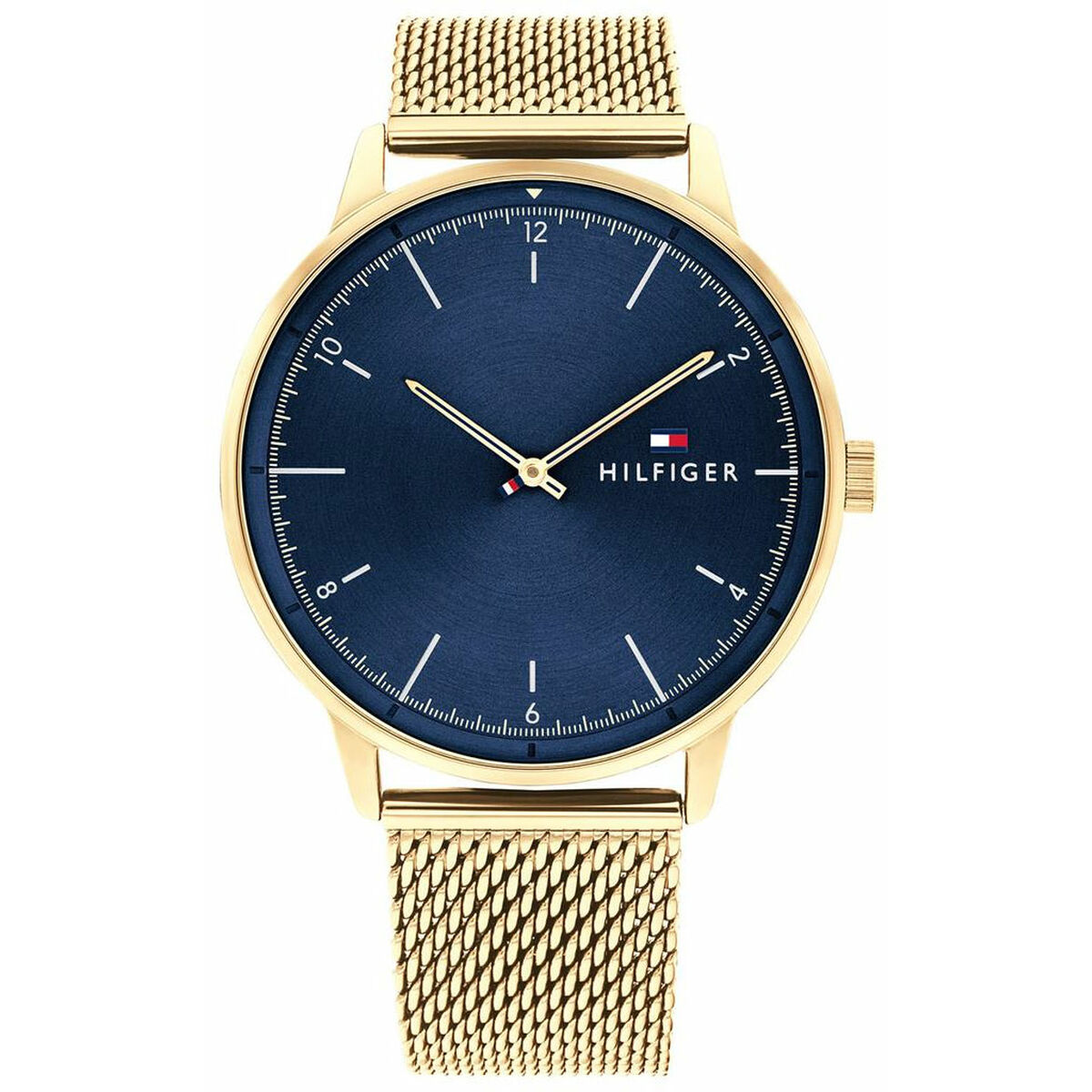 Ceas Bărbați Tommy Hilfiger 1791877 (Ø 43 mm)