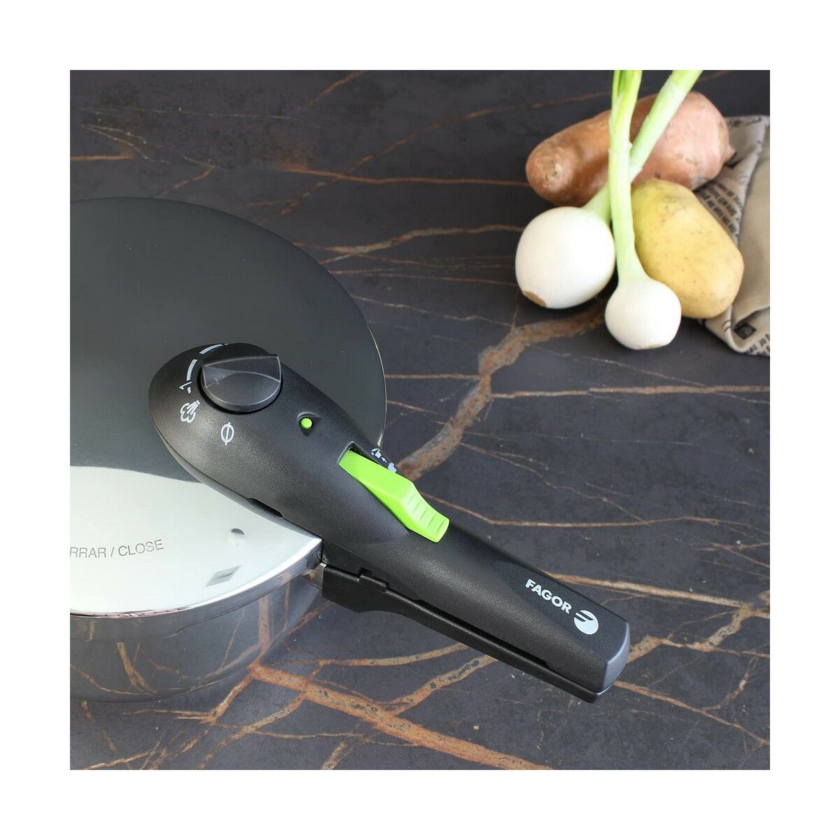 Oală sub Presiune Fagor Oțel inoxidabil 6 L