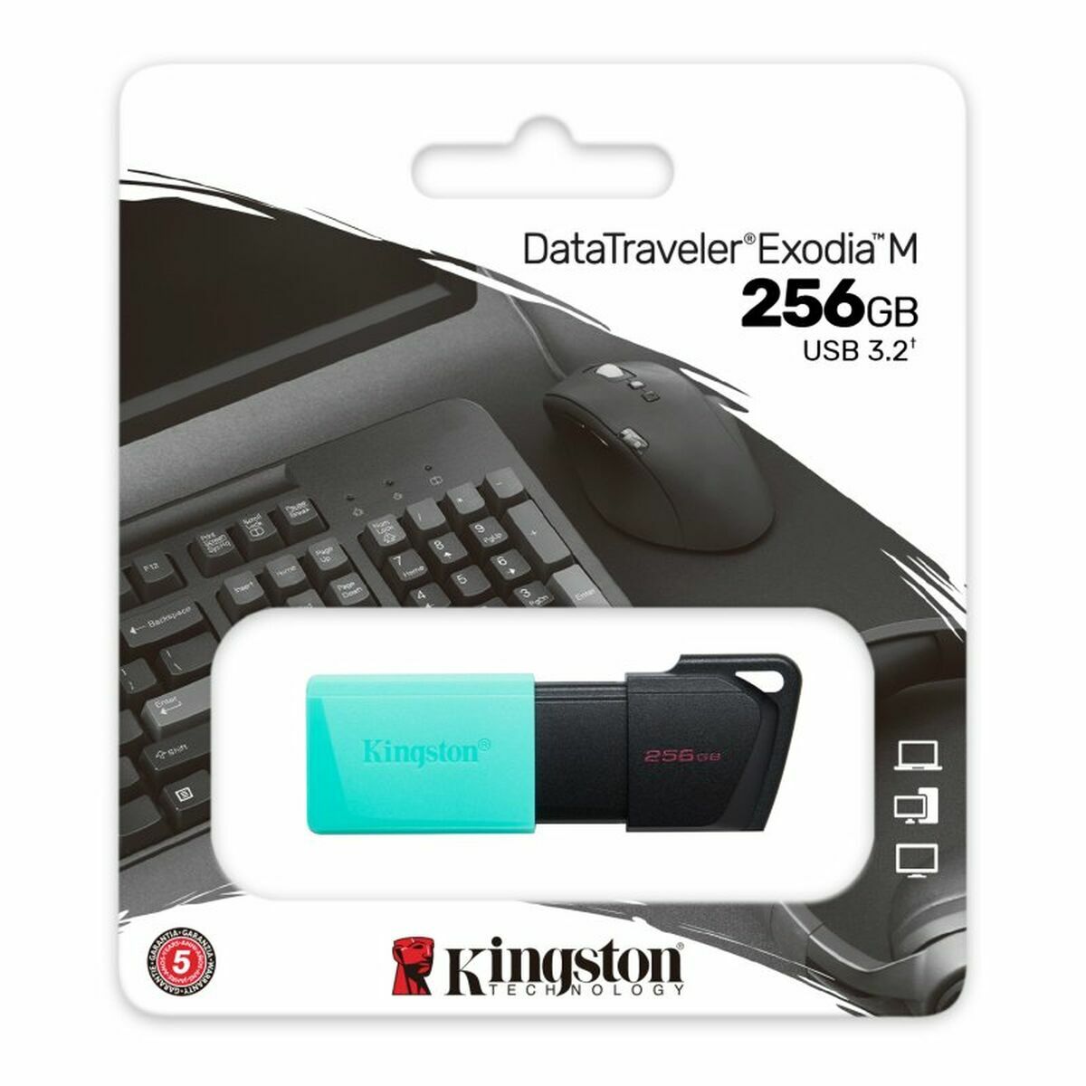 Memorie USB Kingston DTXM/256GB Negru 256 GB