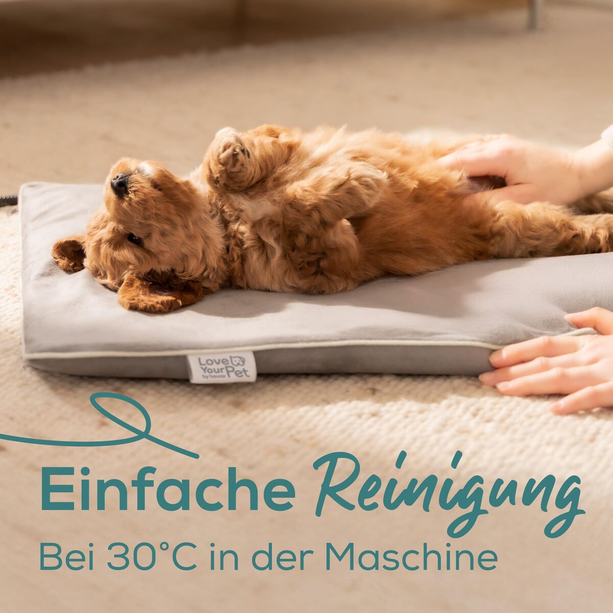 Pat electric pentru animale de companie Beurer PP210 LILLI Gri Mic