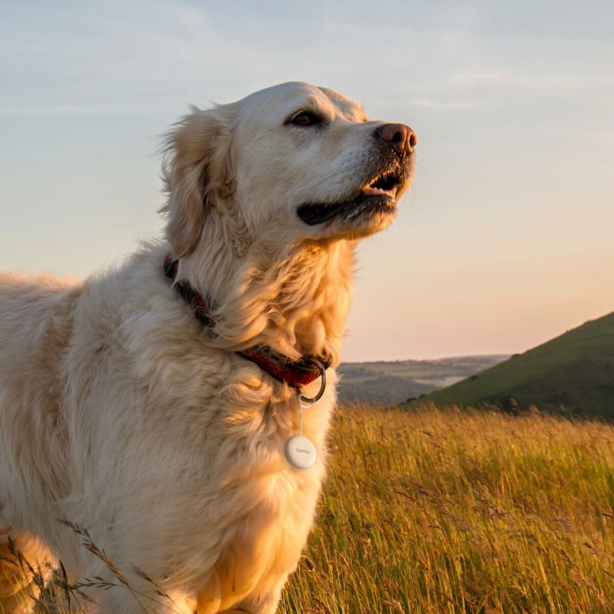 Cablu USB Hama 00185825 Alb