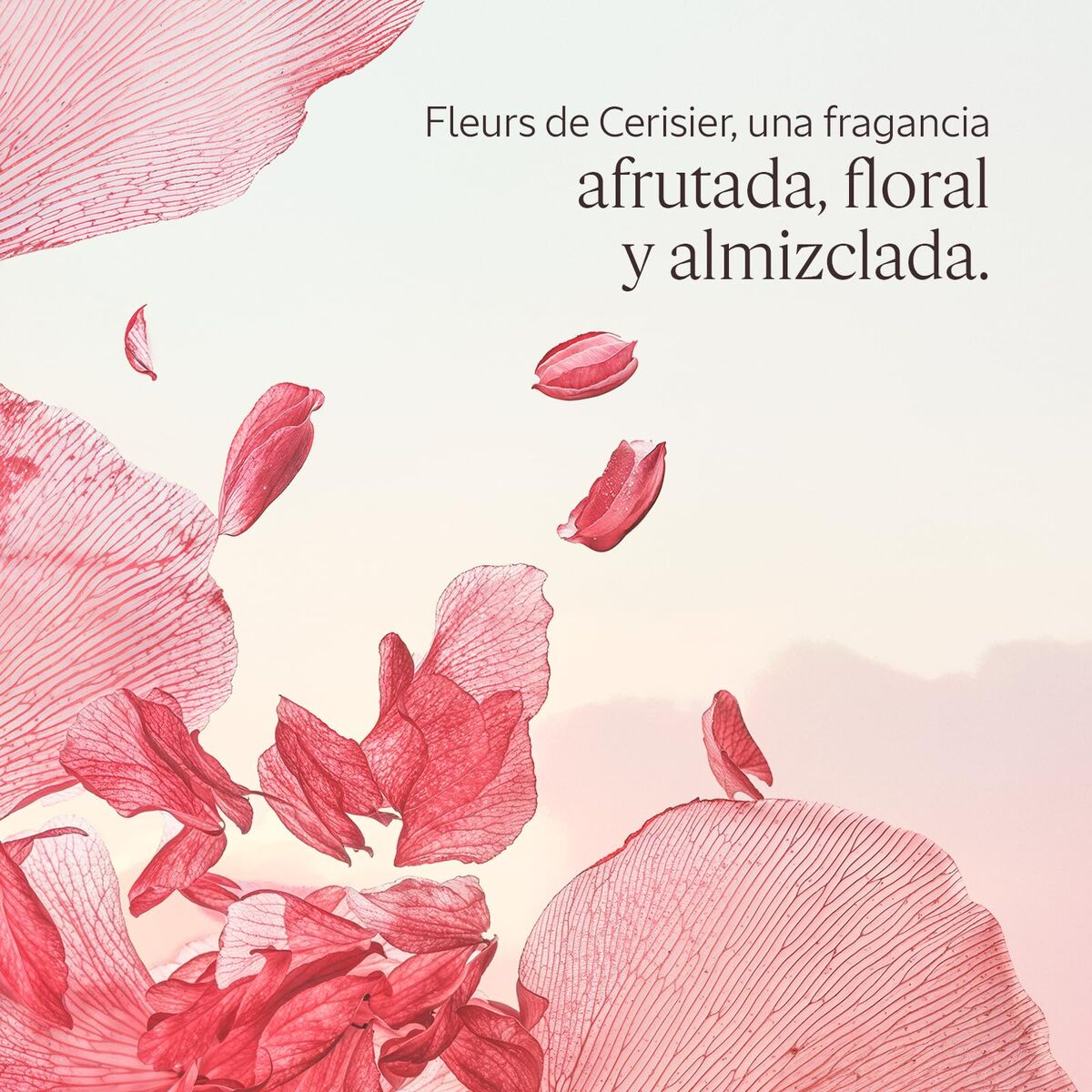 Gel de duș L'Occitane En Provence FLEURS DE CERISIER
