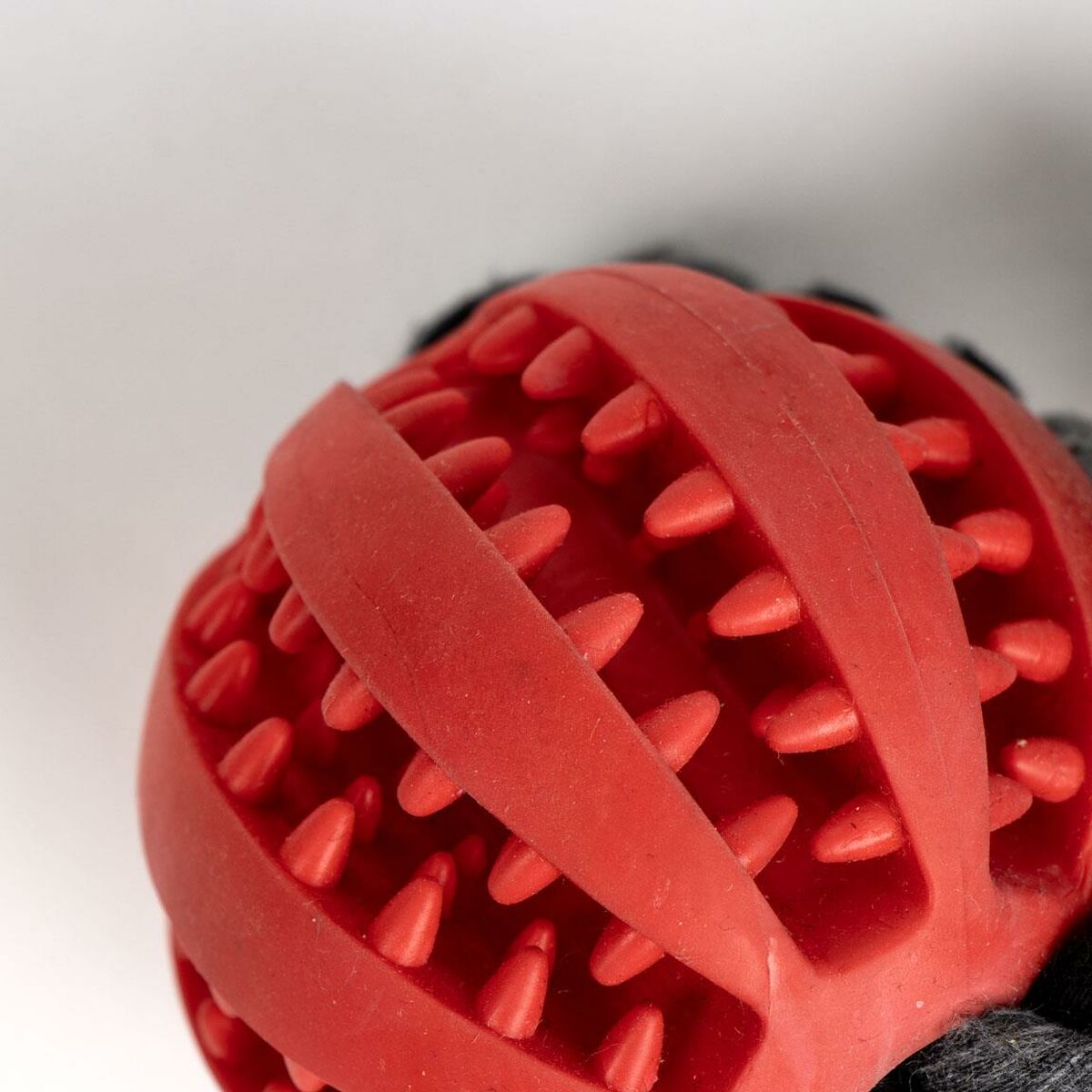 Jucărie pentru câini Minnie Mouse Roșu Poliester Bumbac TPR 10 x 30 x 7 cm 7 x 30 x 10 cm