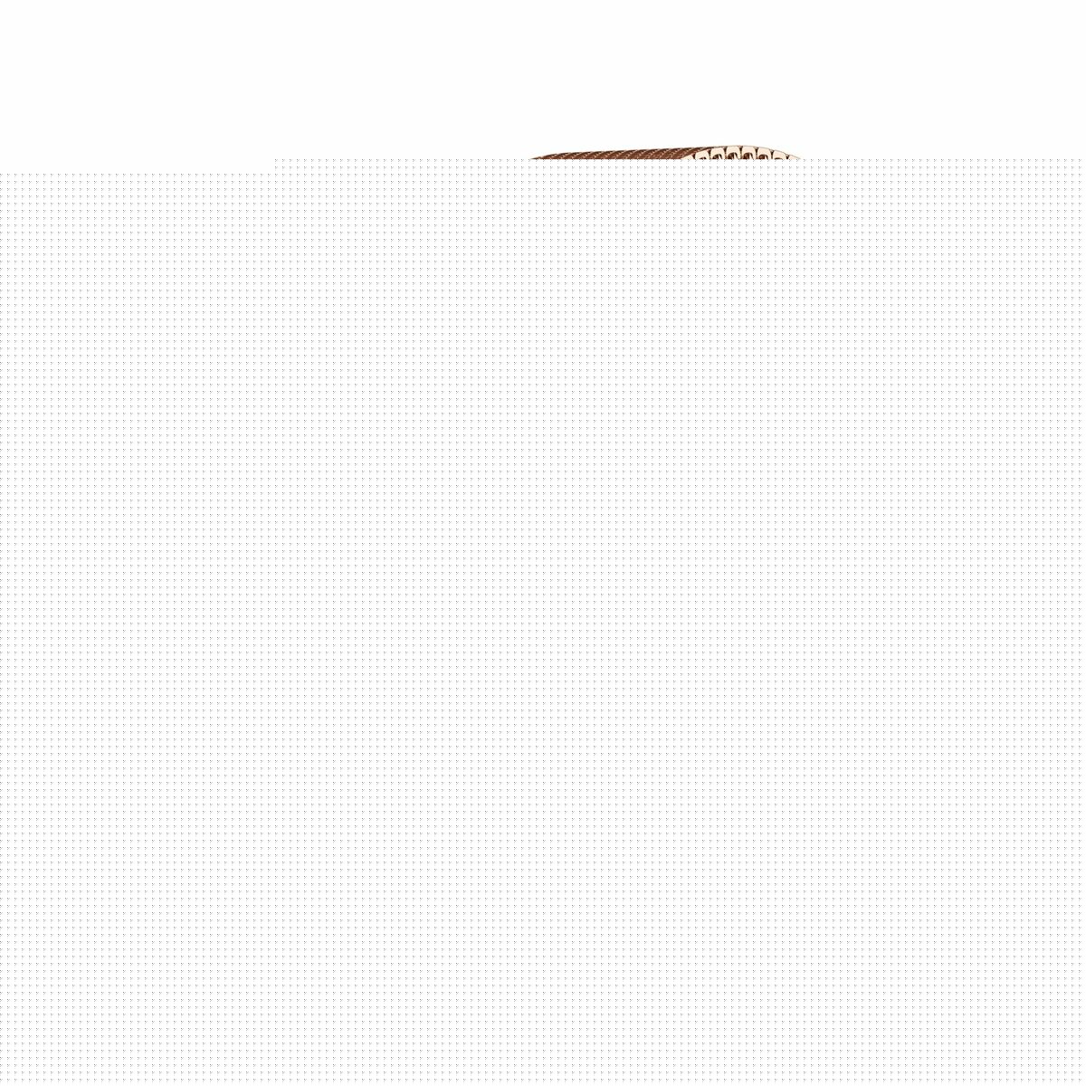 Smartwatch KSIX KSIX Iria Roz 1,7"