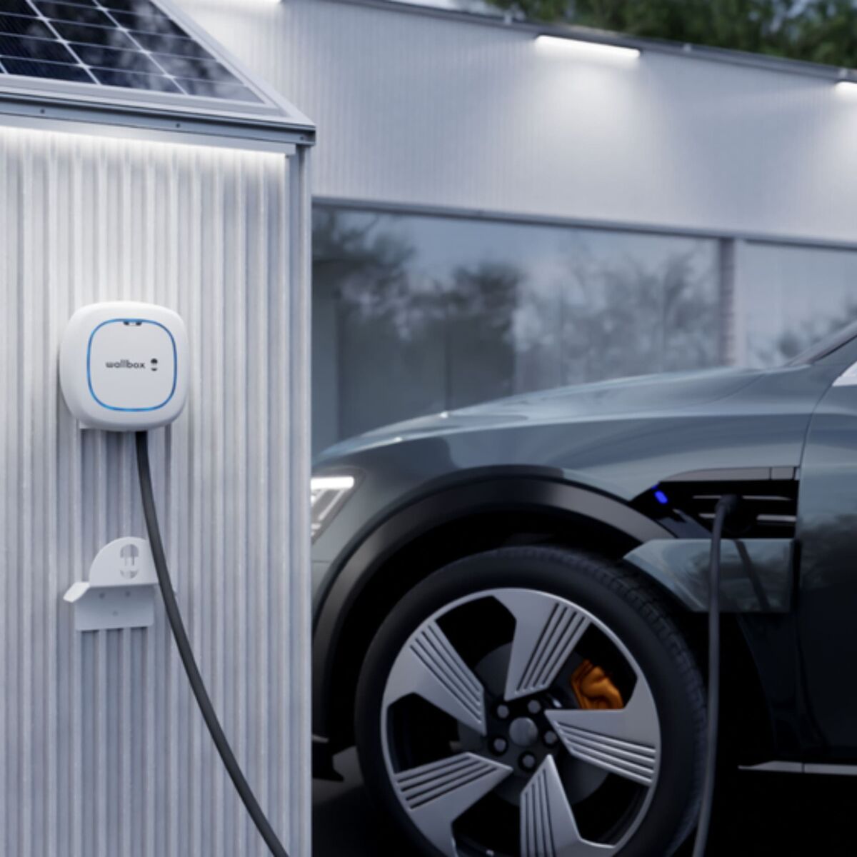 Mufă de Alimentare Wallbox