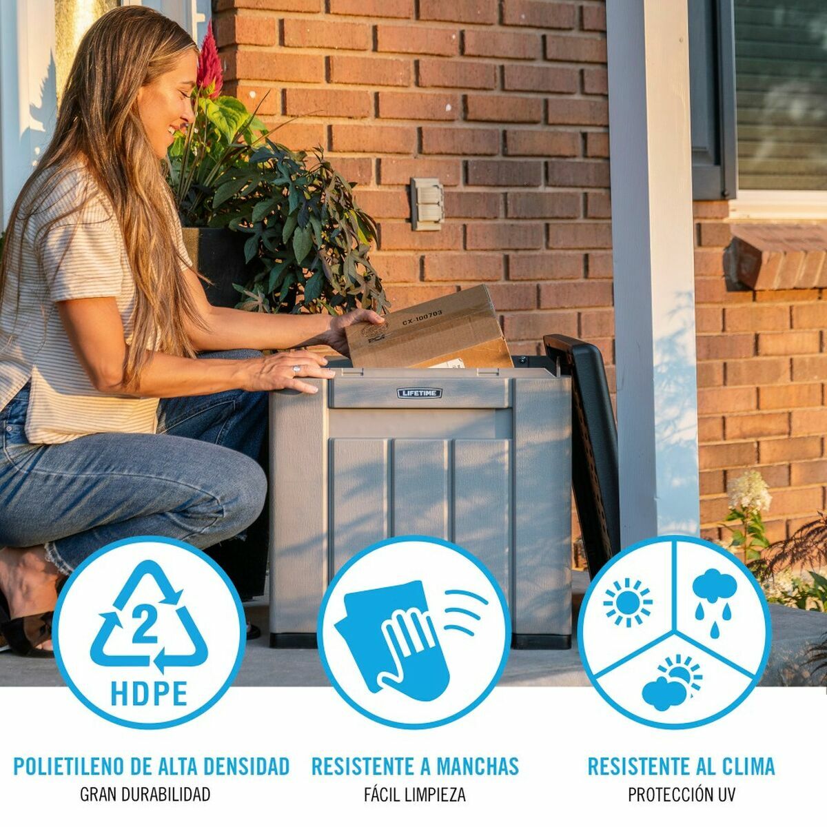 Cutie de depozitare cu capac Lifetime Gri 51,2 x 51,2 x 50,8 cm